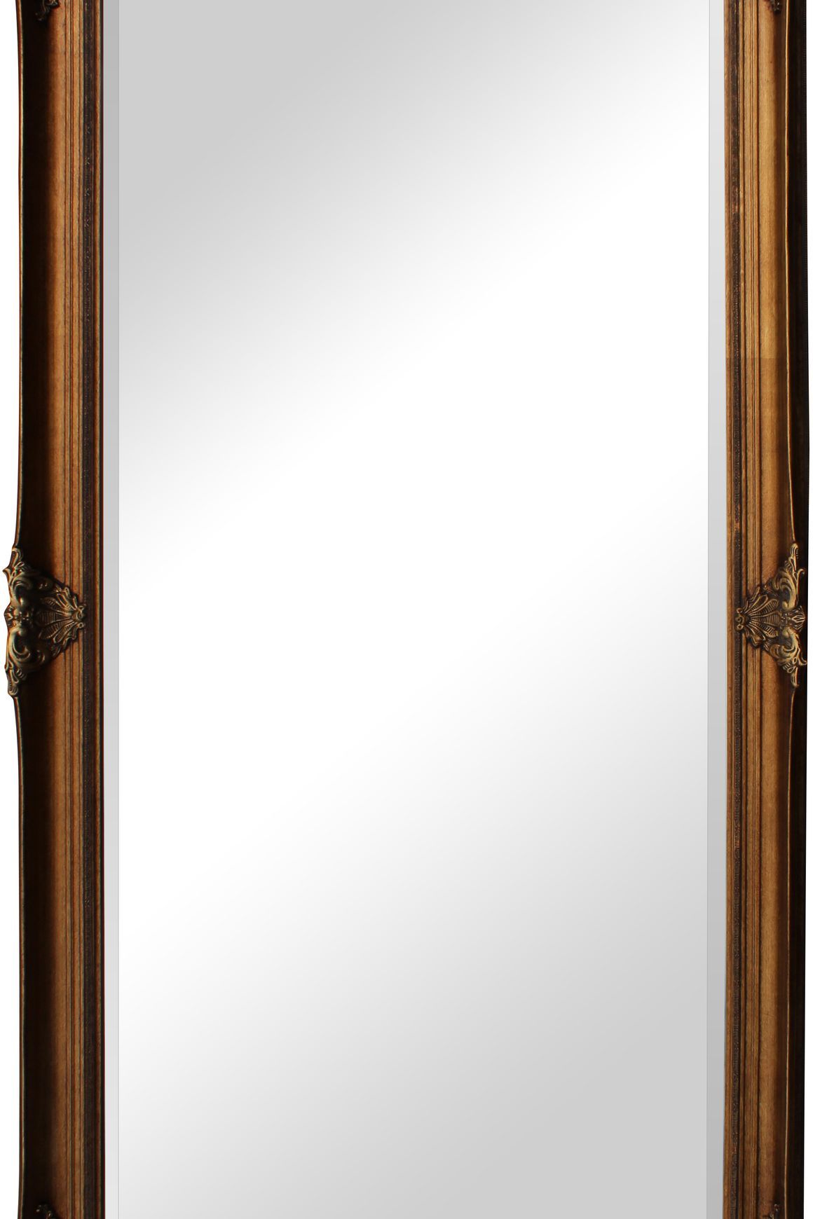 F23 Orléans Mirror
