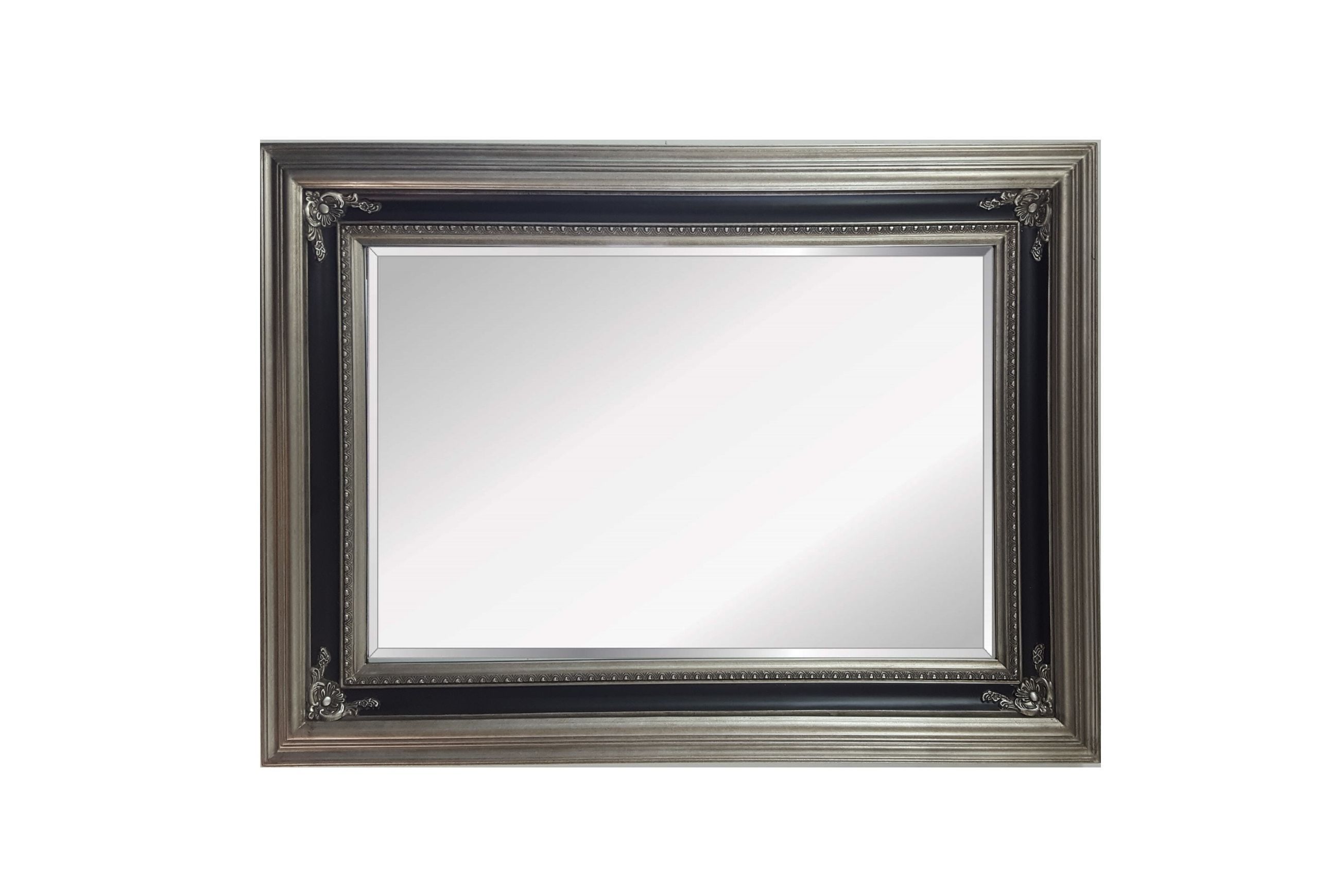 F17 Mirror