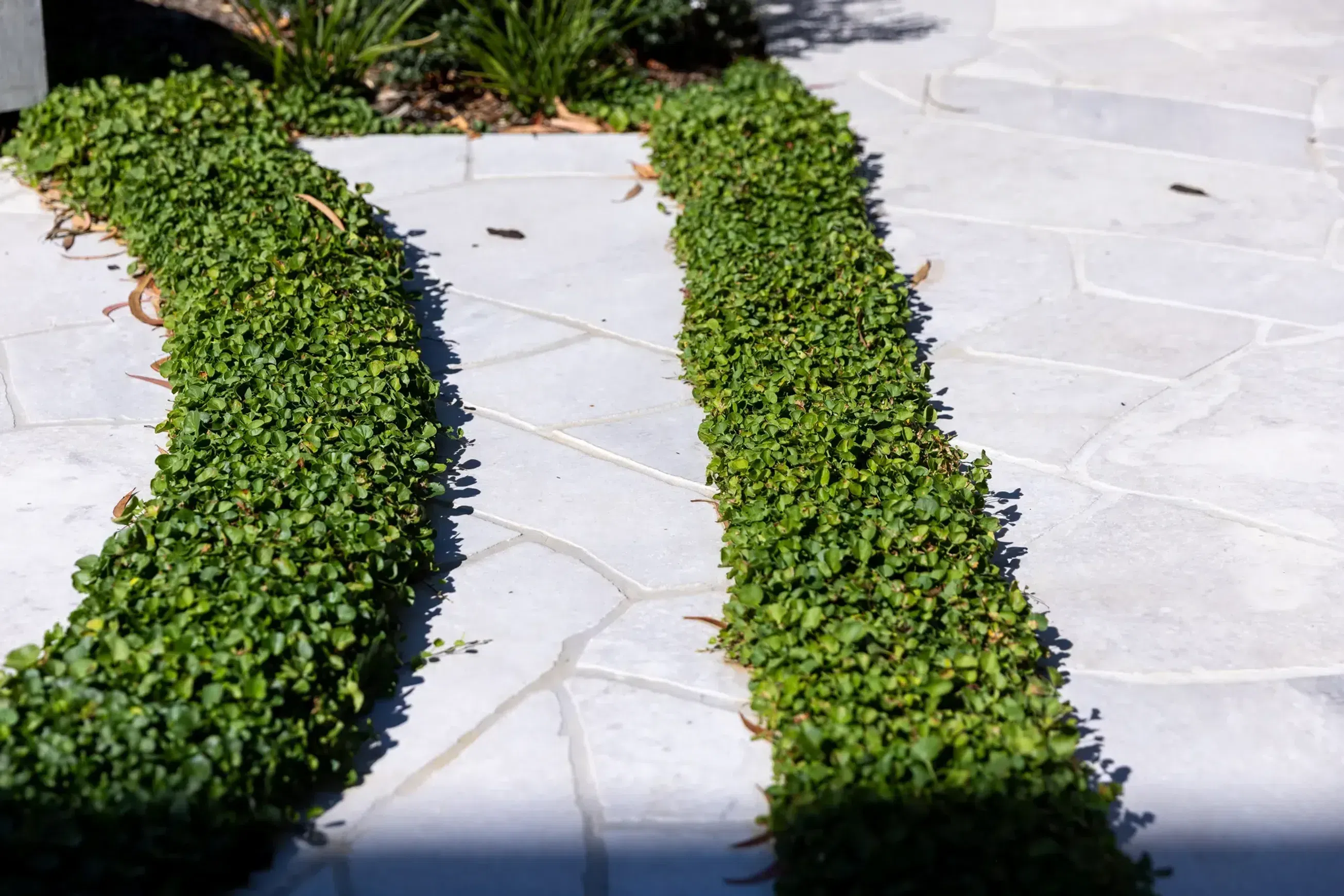 Tallin Grey Limestone Crazy Paving
