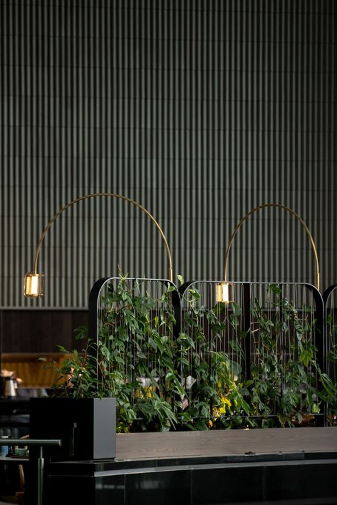 Green Screens Plant Wall | GreenAir