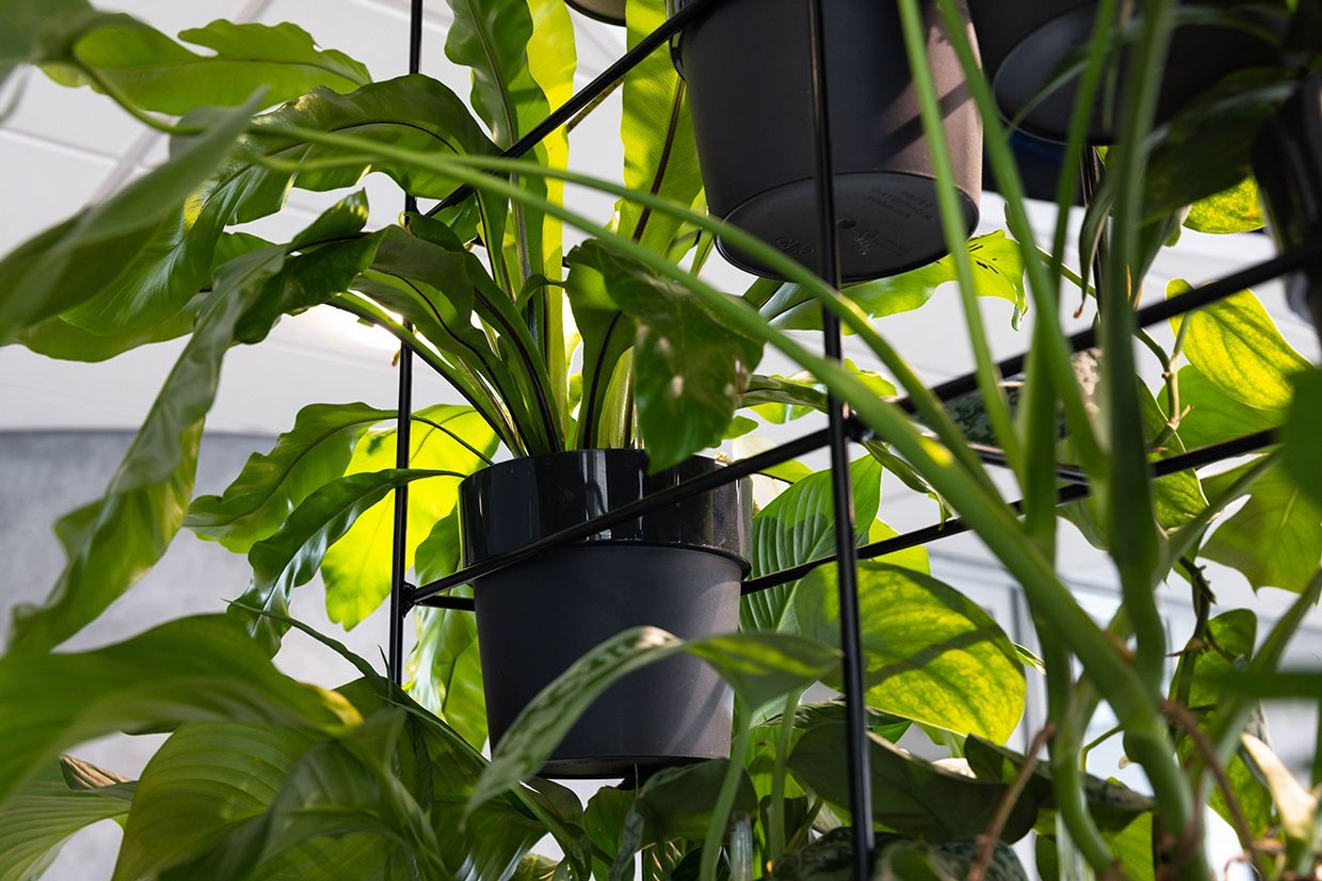 Stacked Plant Systems | GreenAir