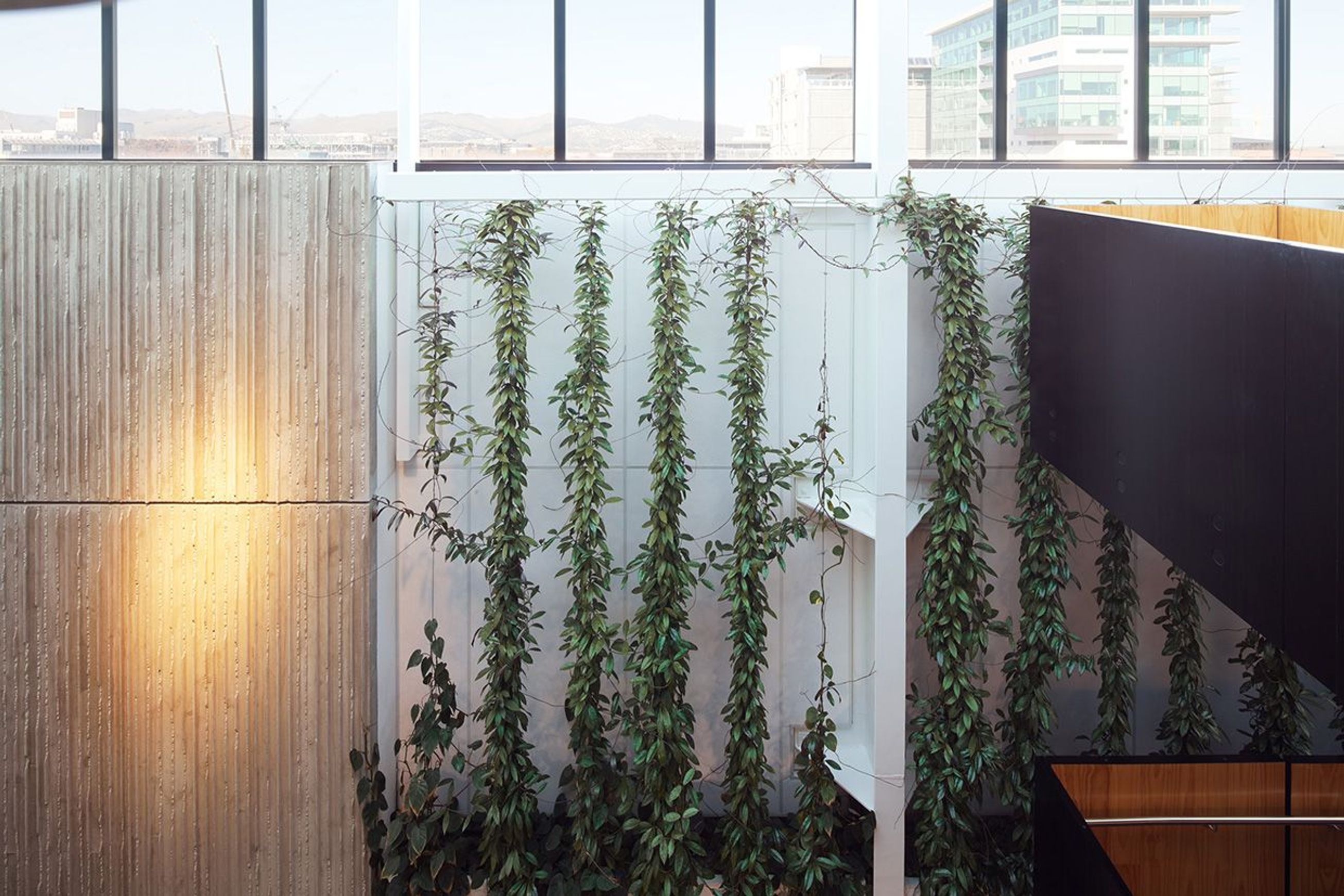 Green Screens Plant Wall | GreenAir