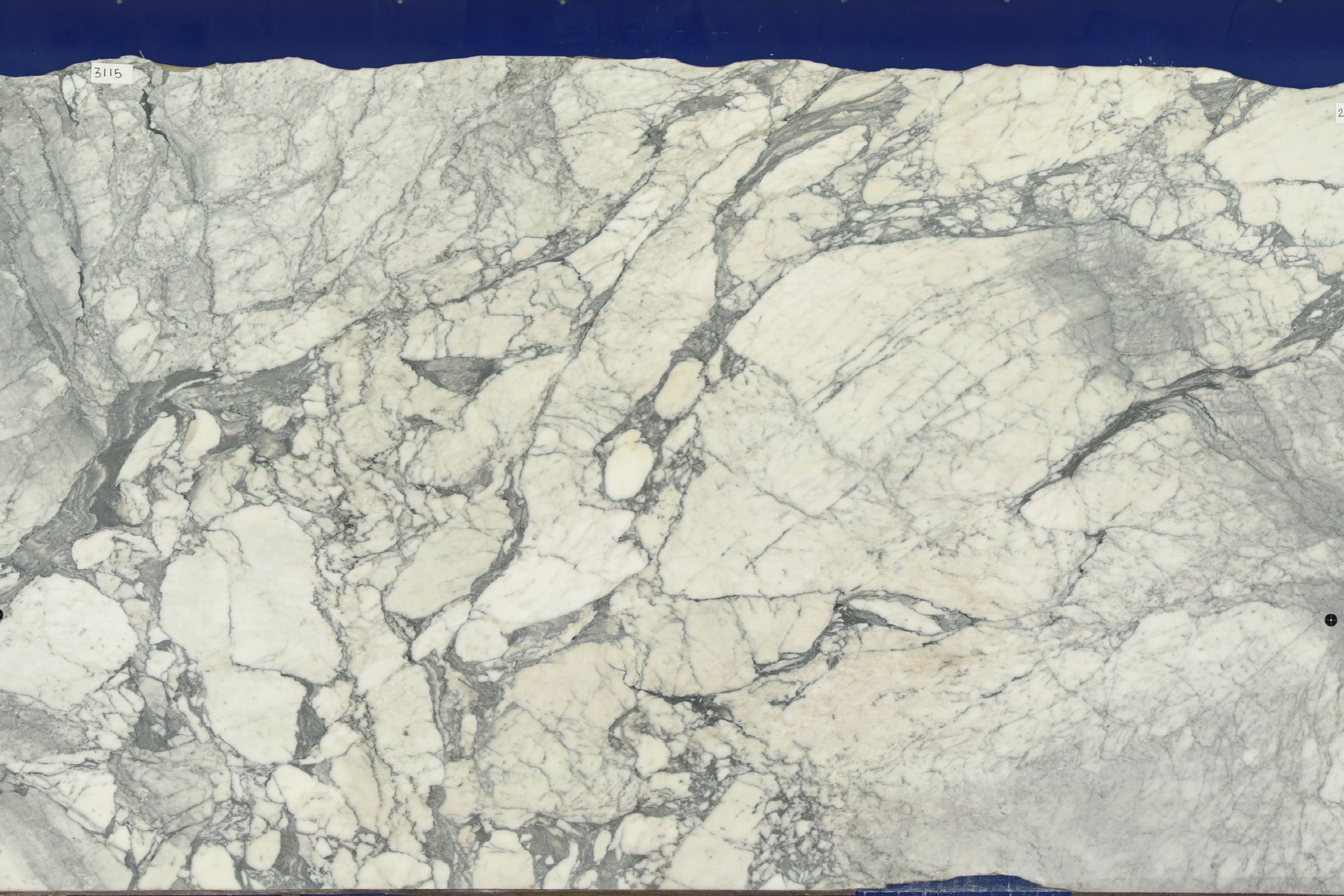 Arabescato Corchia | Marble