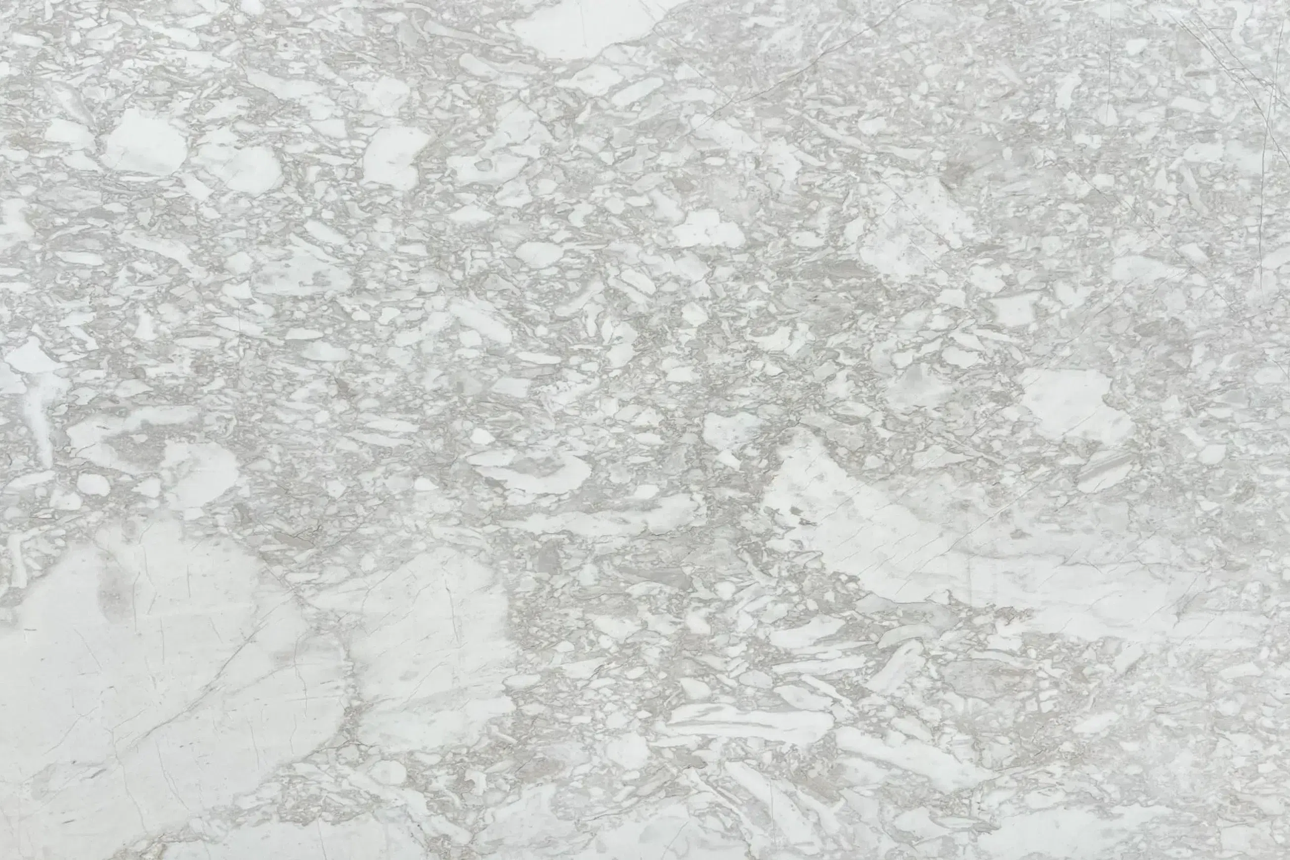 Arabescato Pirgon Dolomite Benchtop