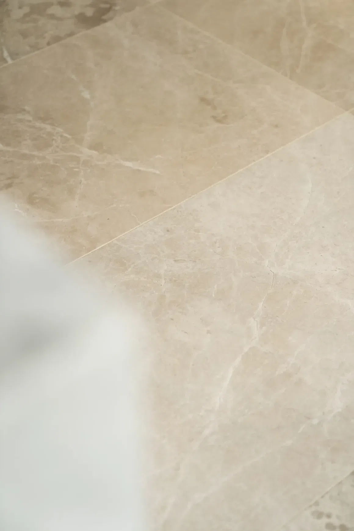Papillon Honed Limestone Tiles