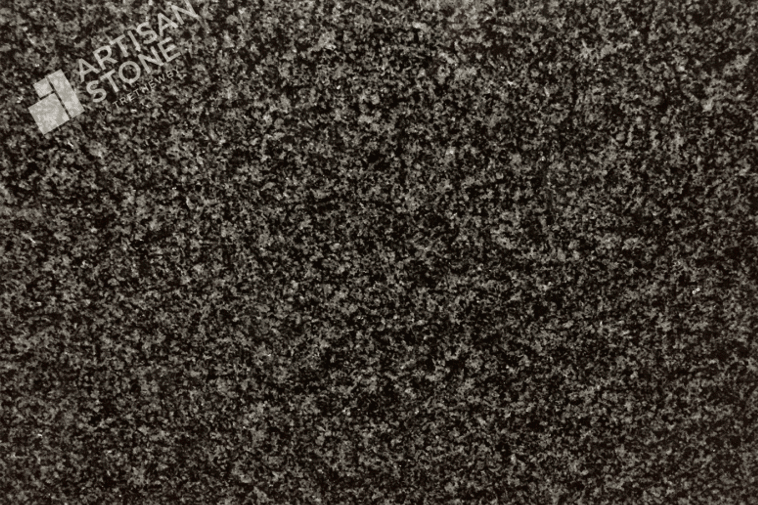 Africa Grey