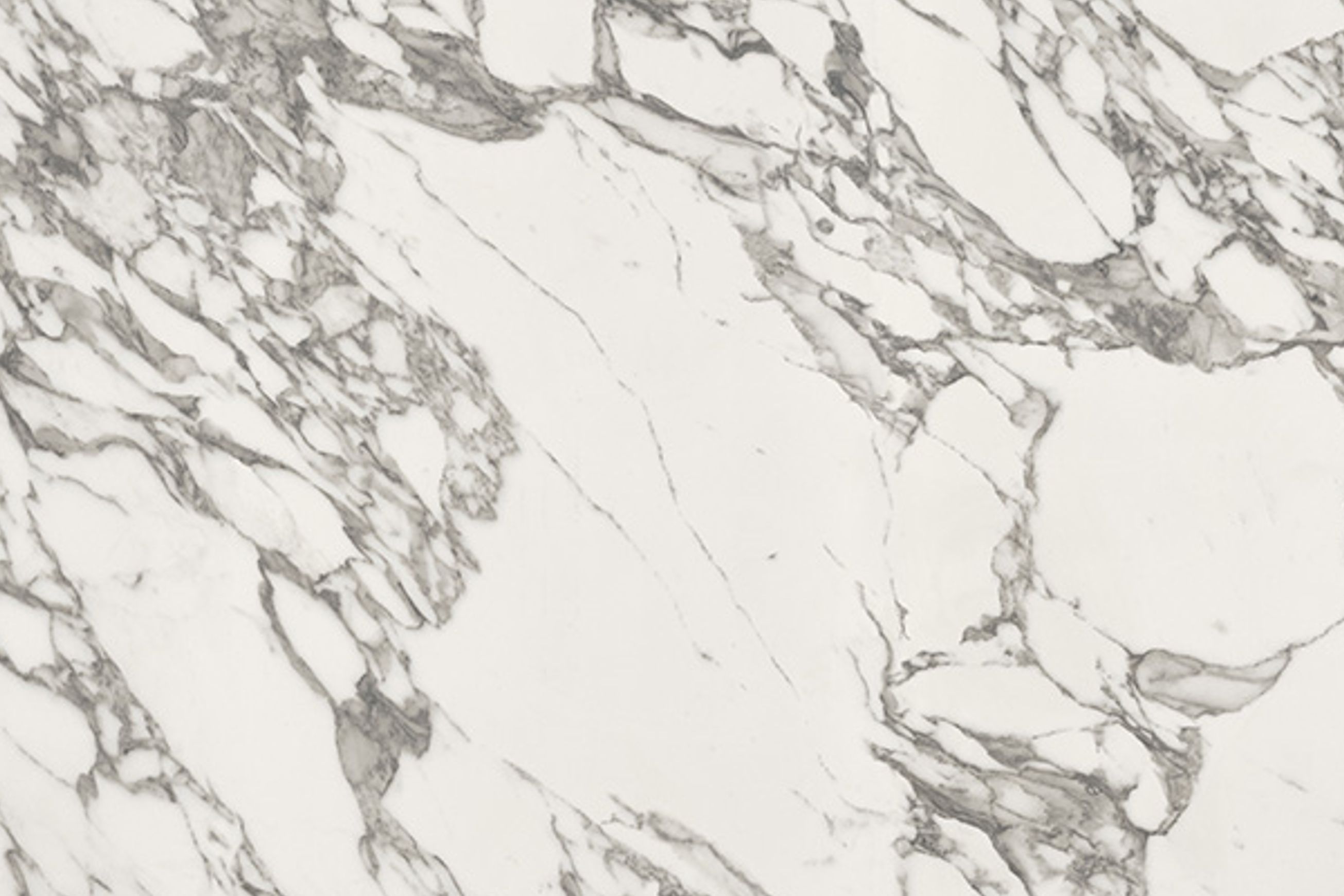 Arabescato Corchia | Quantum Porcelain