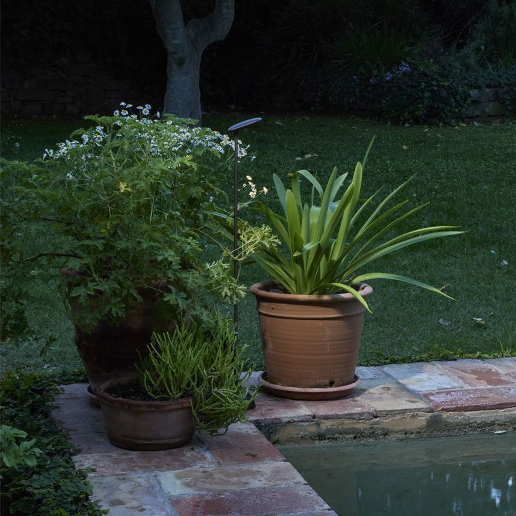 Birdie Single Set Garden Light