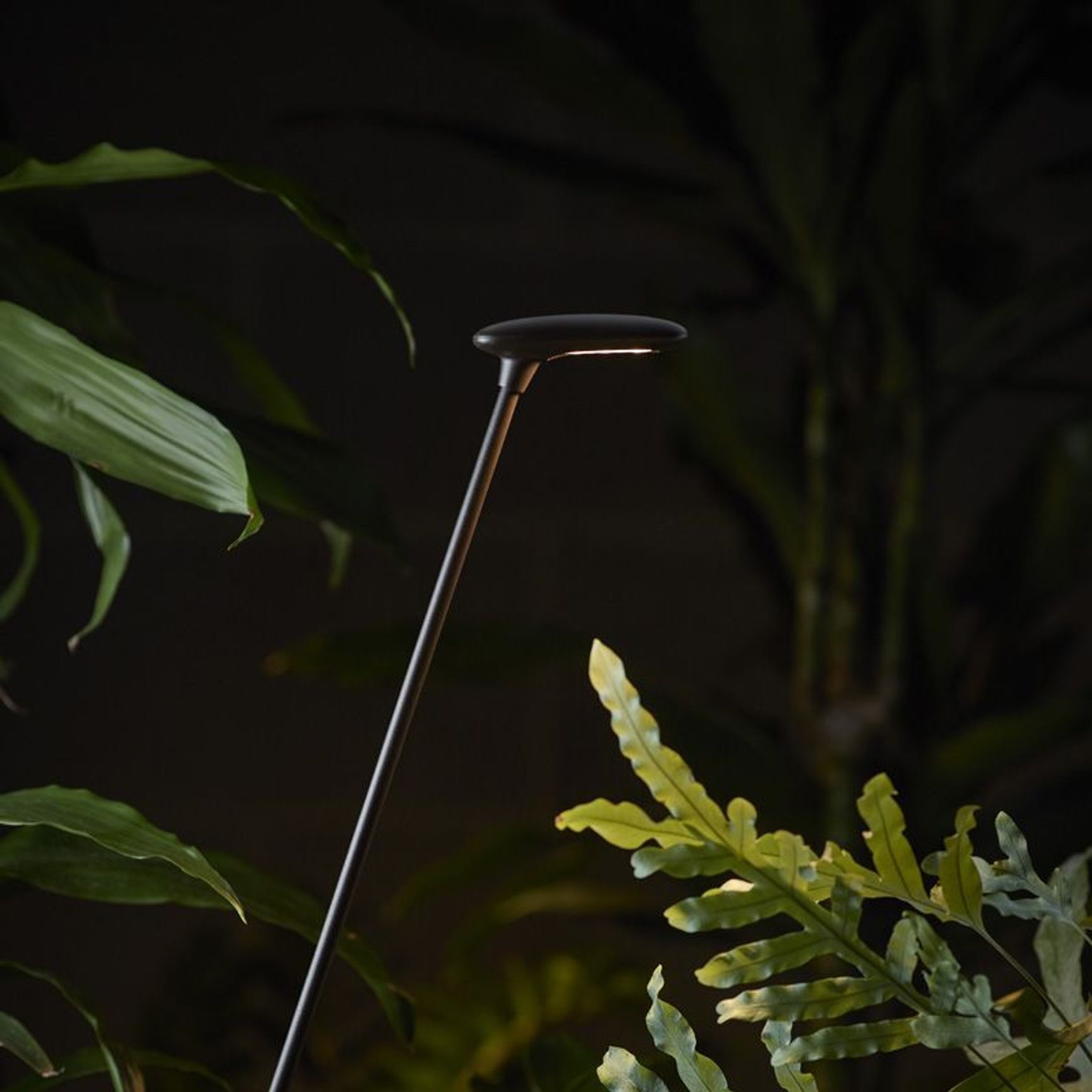 Birdie Single Set Garden Light