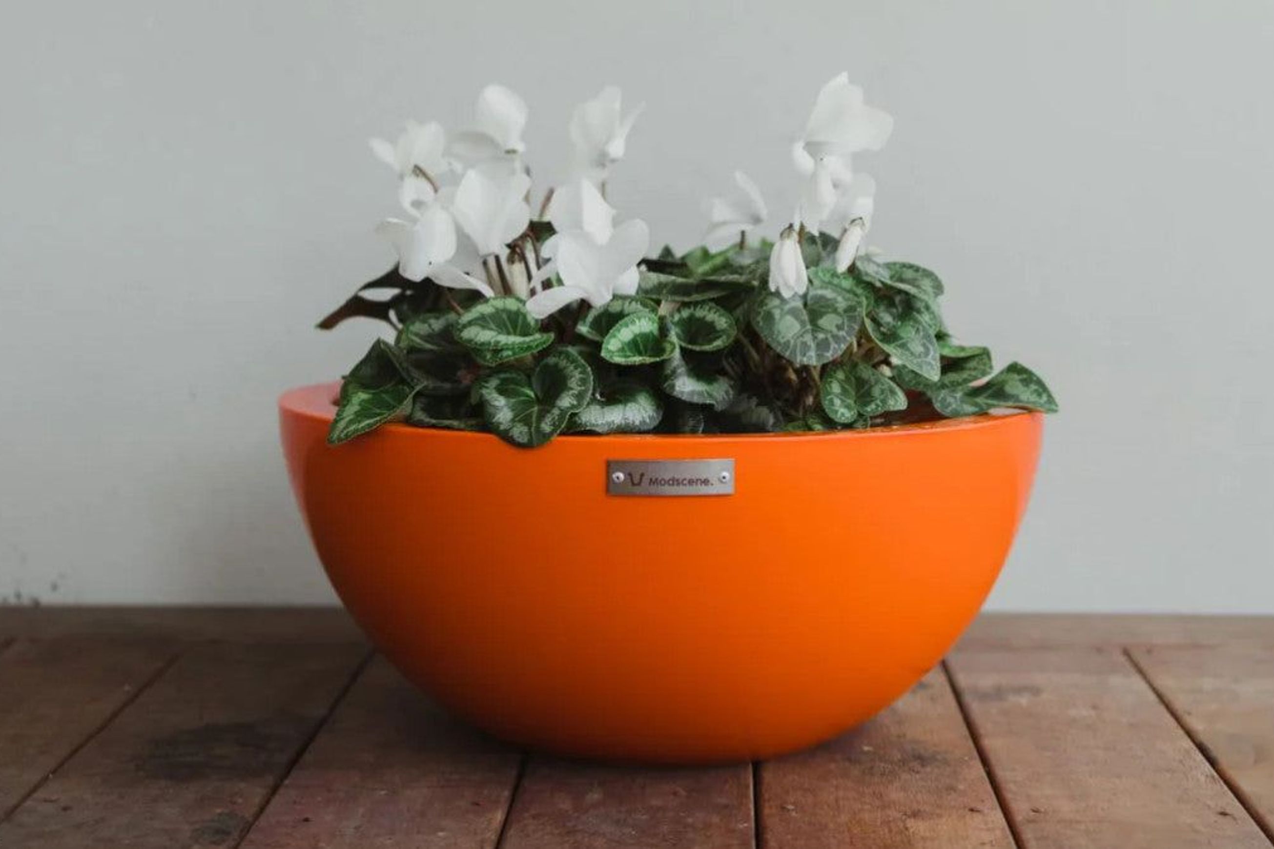 Barcelona 500 Bowl Planter