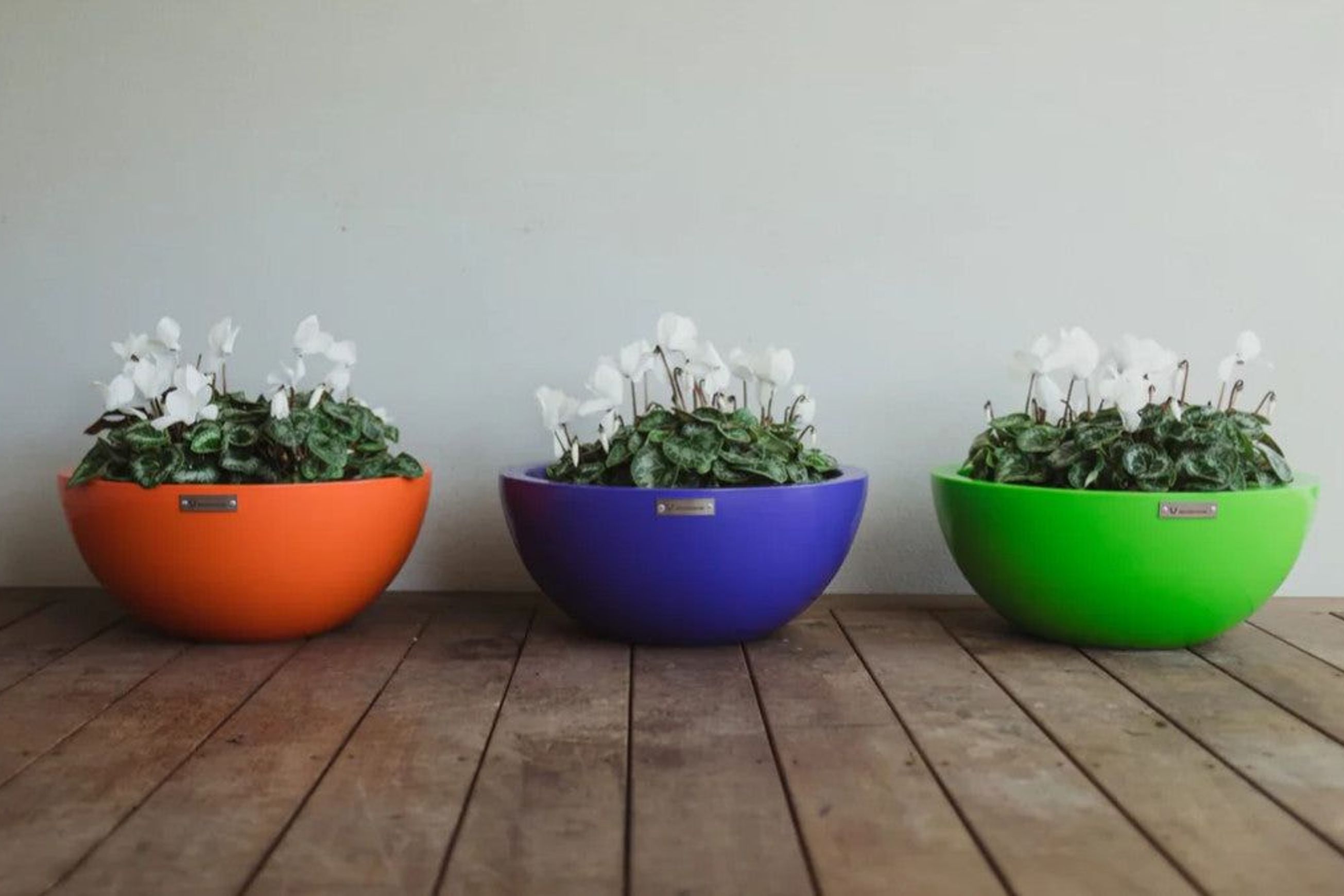 Barcelona 500 Bowl Planter