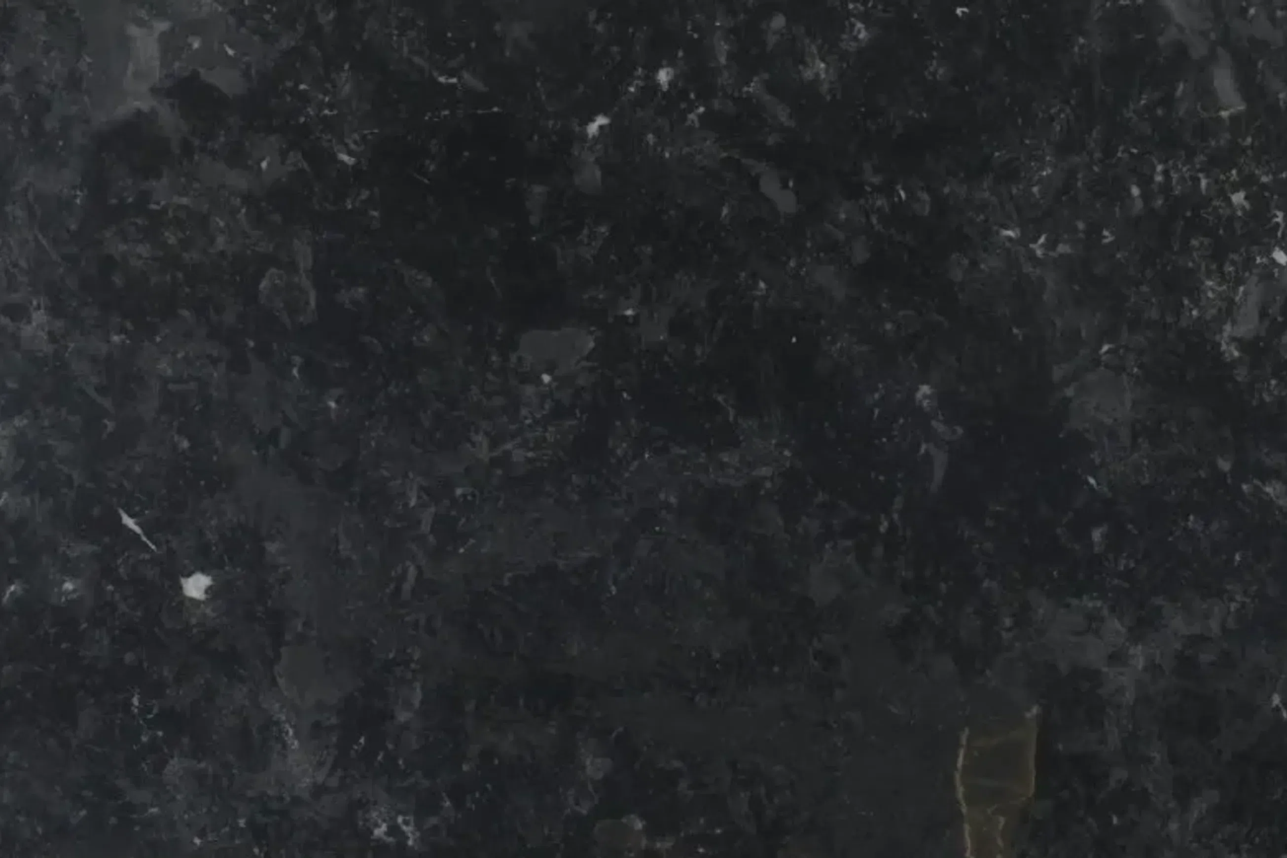 Calacatta Black Quartzite Benchtop