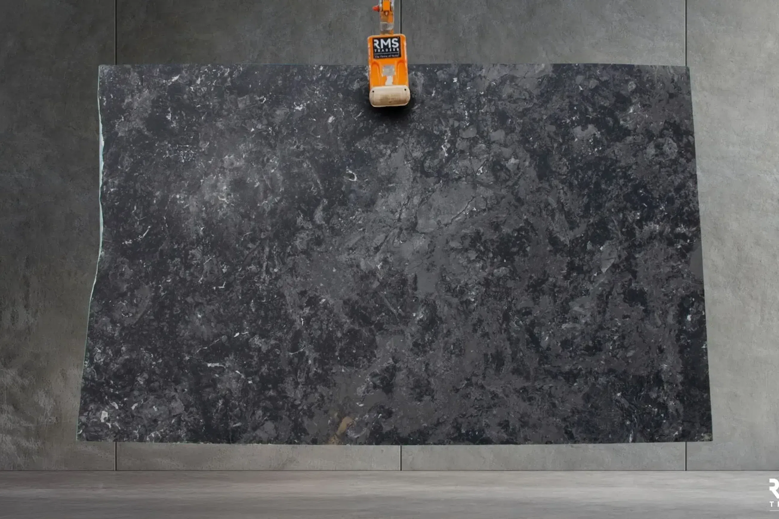 Calacatta Black Quartzite Benchtop