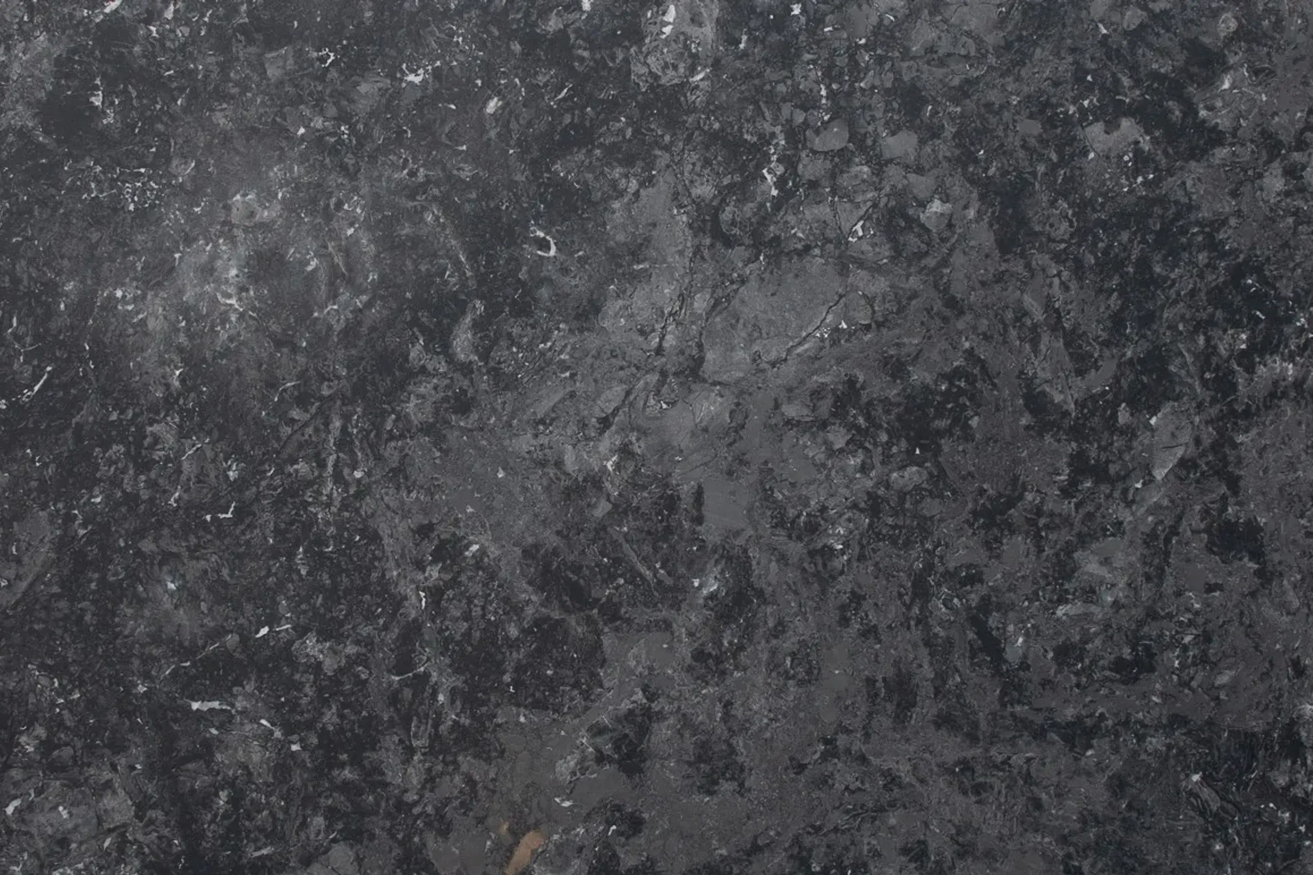 Calacatta Black Quartzite Benchtop