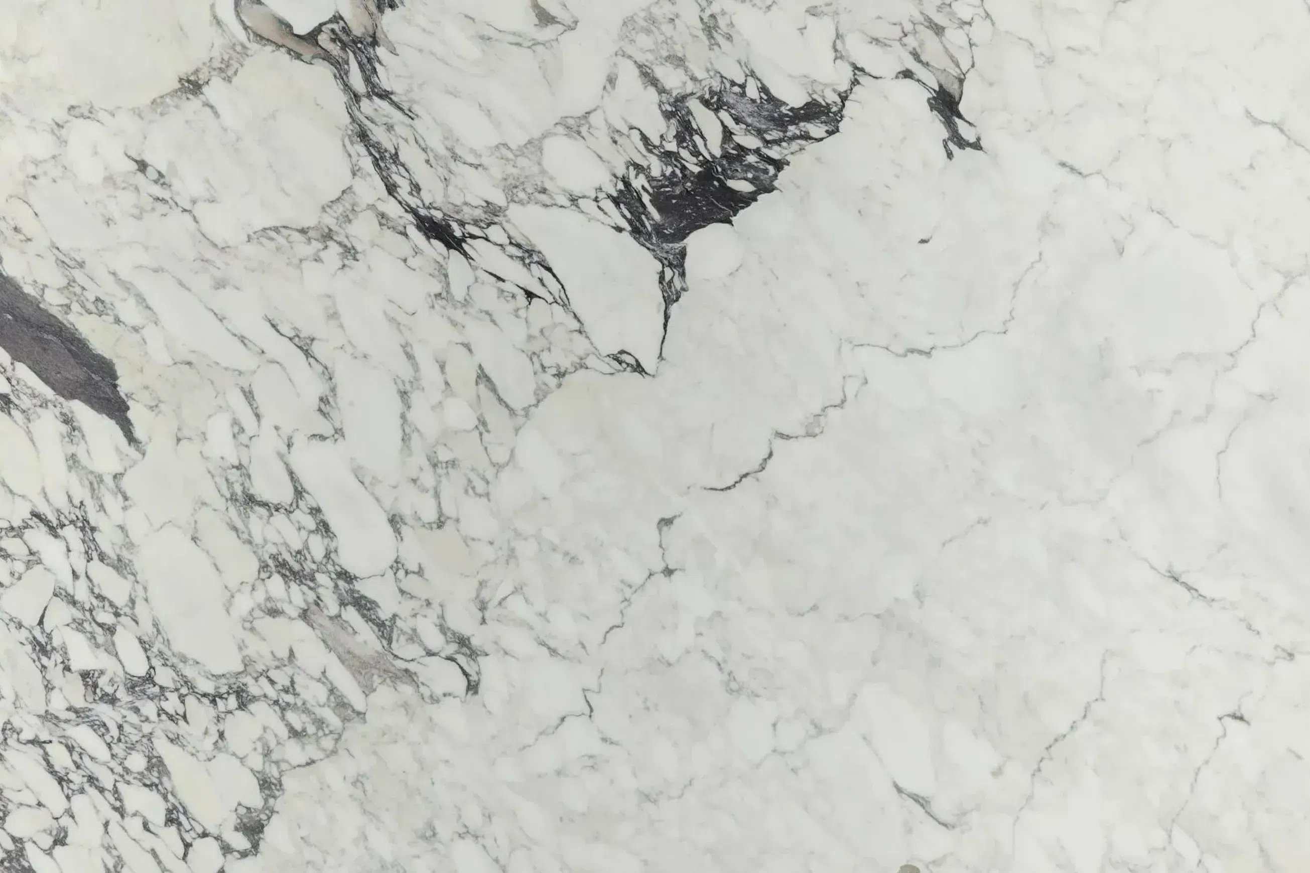 Calacatta Monet Marble Benchtop