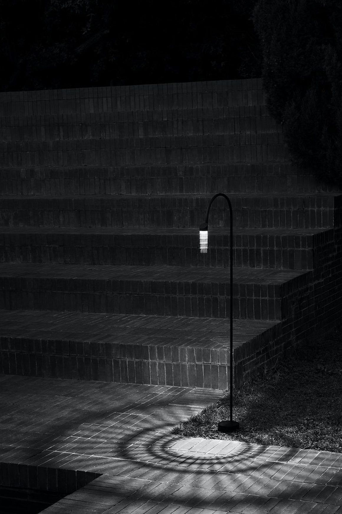 Caule Bollard