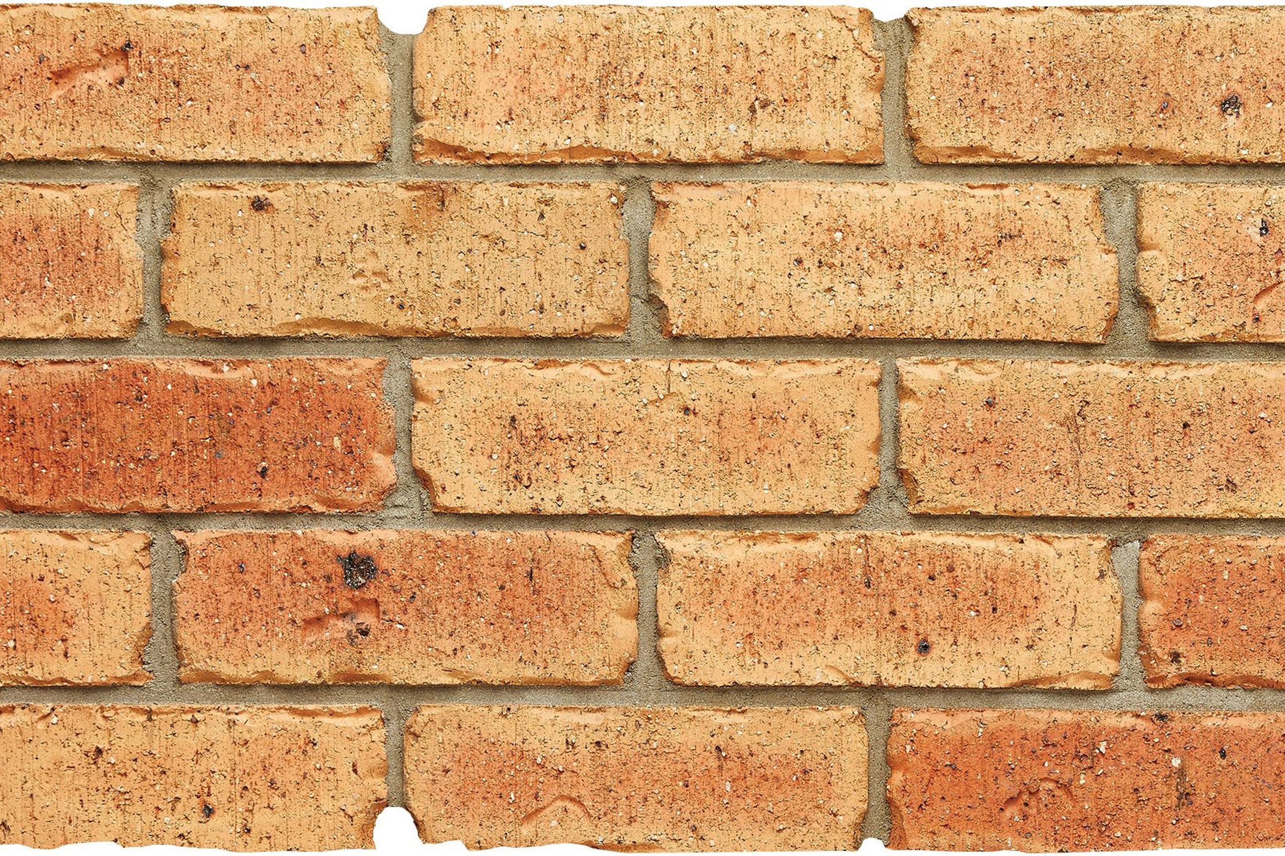 Coach House Cream - Artisan Range | Austral Bricks