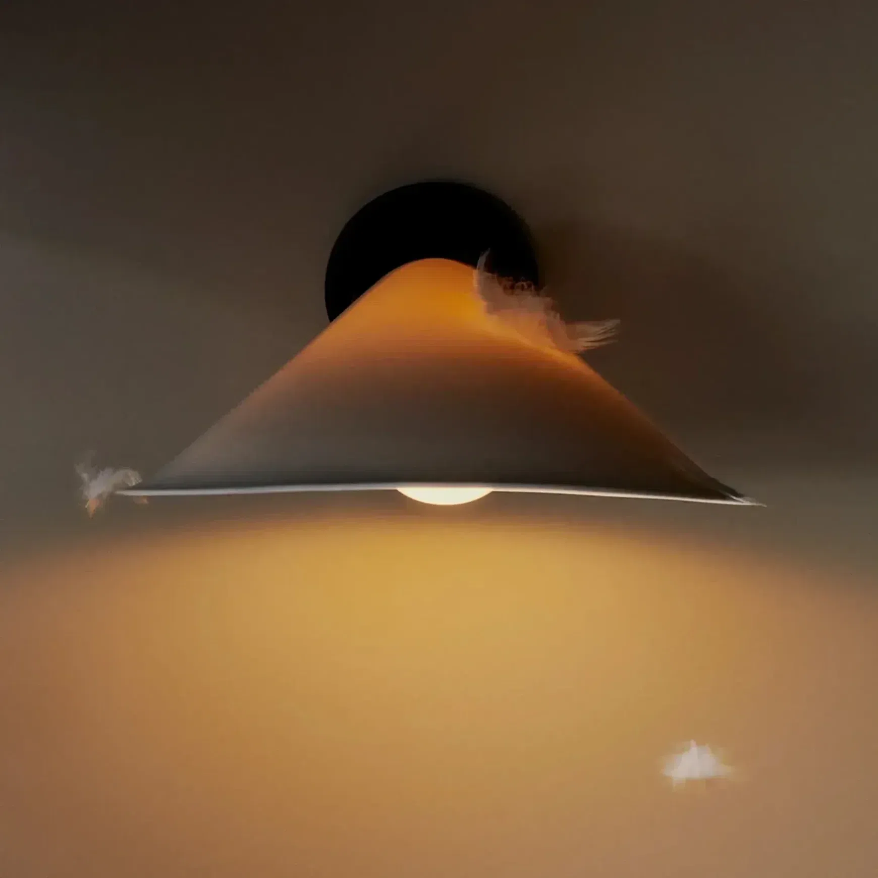 Plume Wall Light