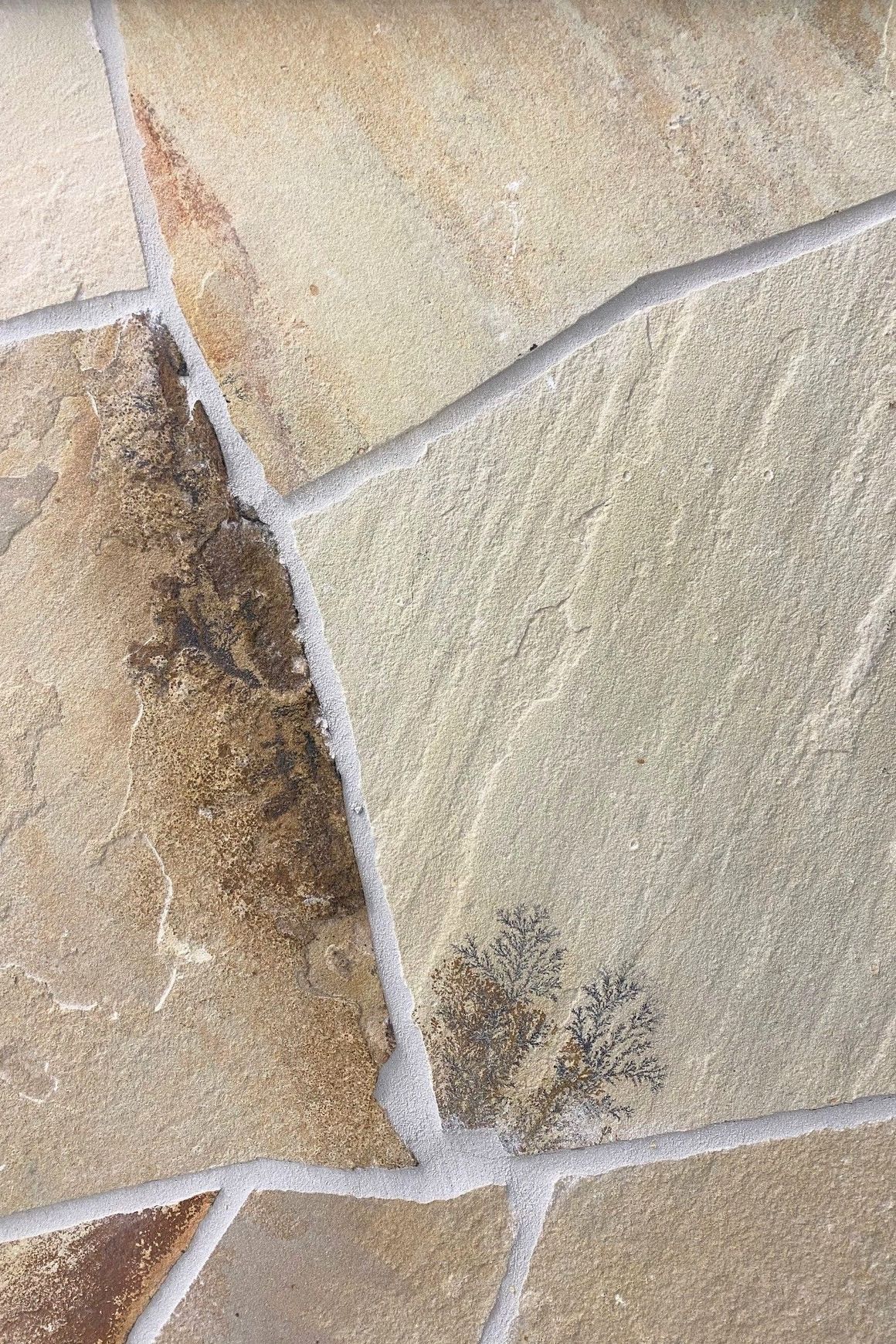 Desert Sand  Sandstone Crazy Paving