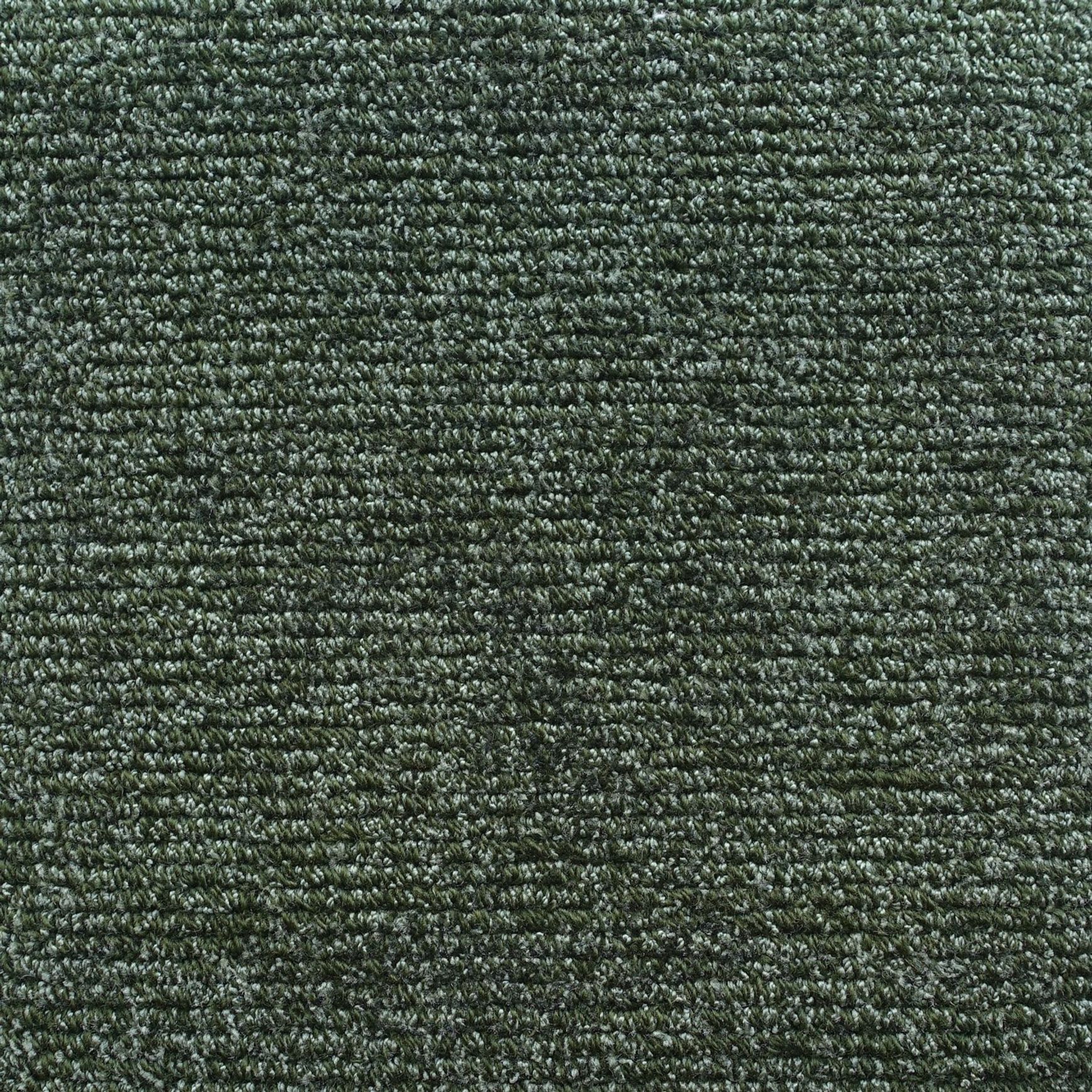 Tapis Absolute