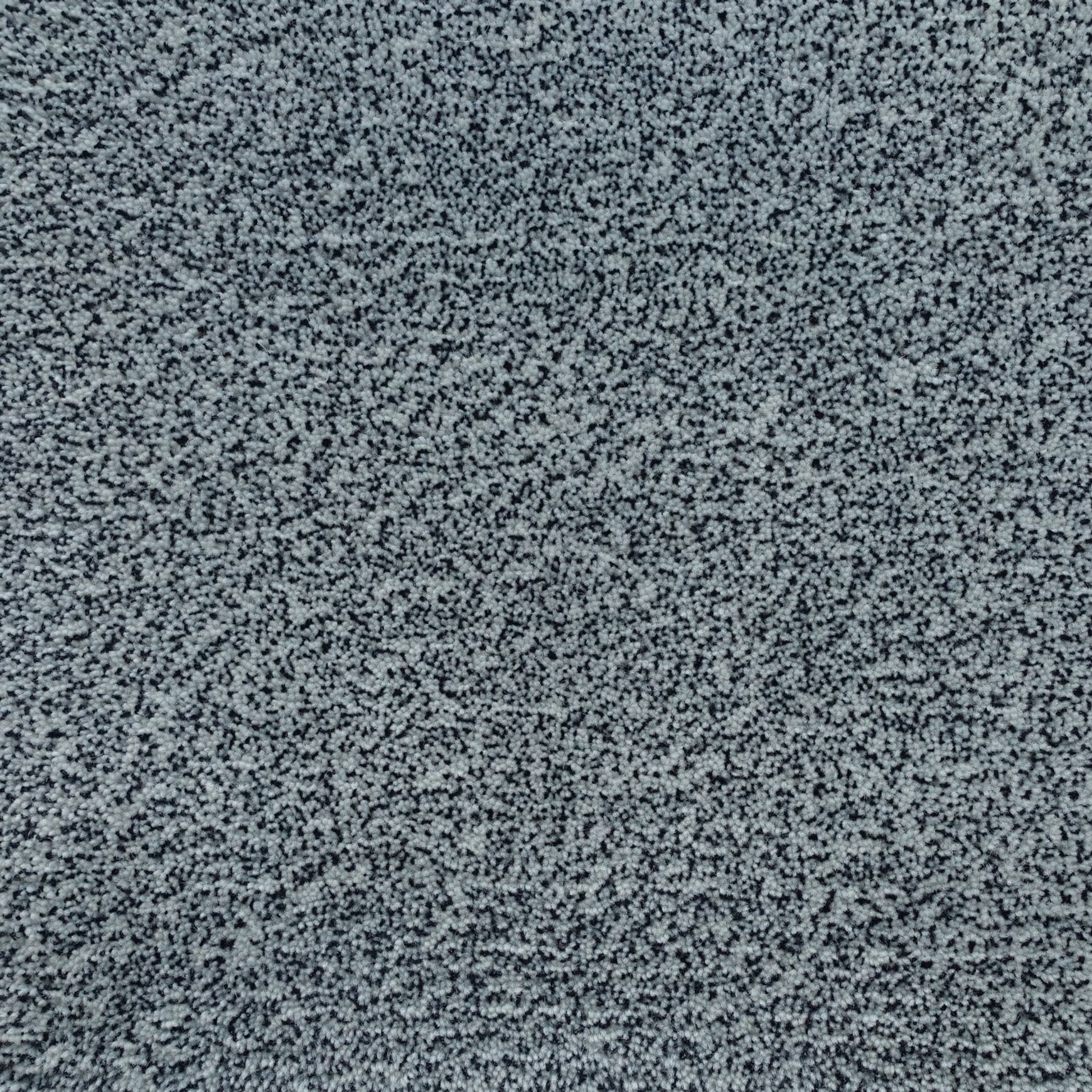 Tapis Absolute