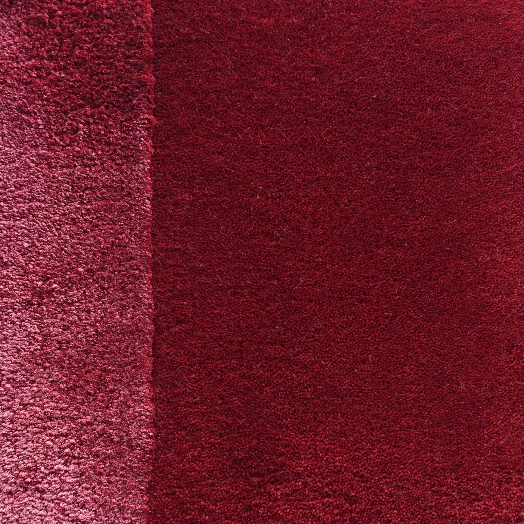 Tapis Absolute