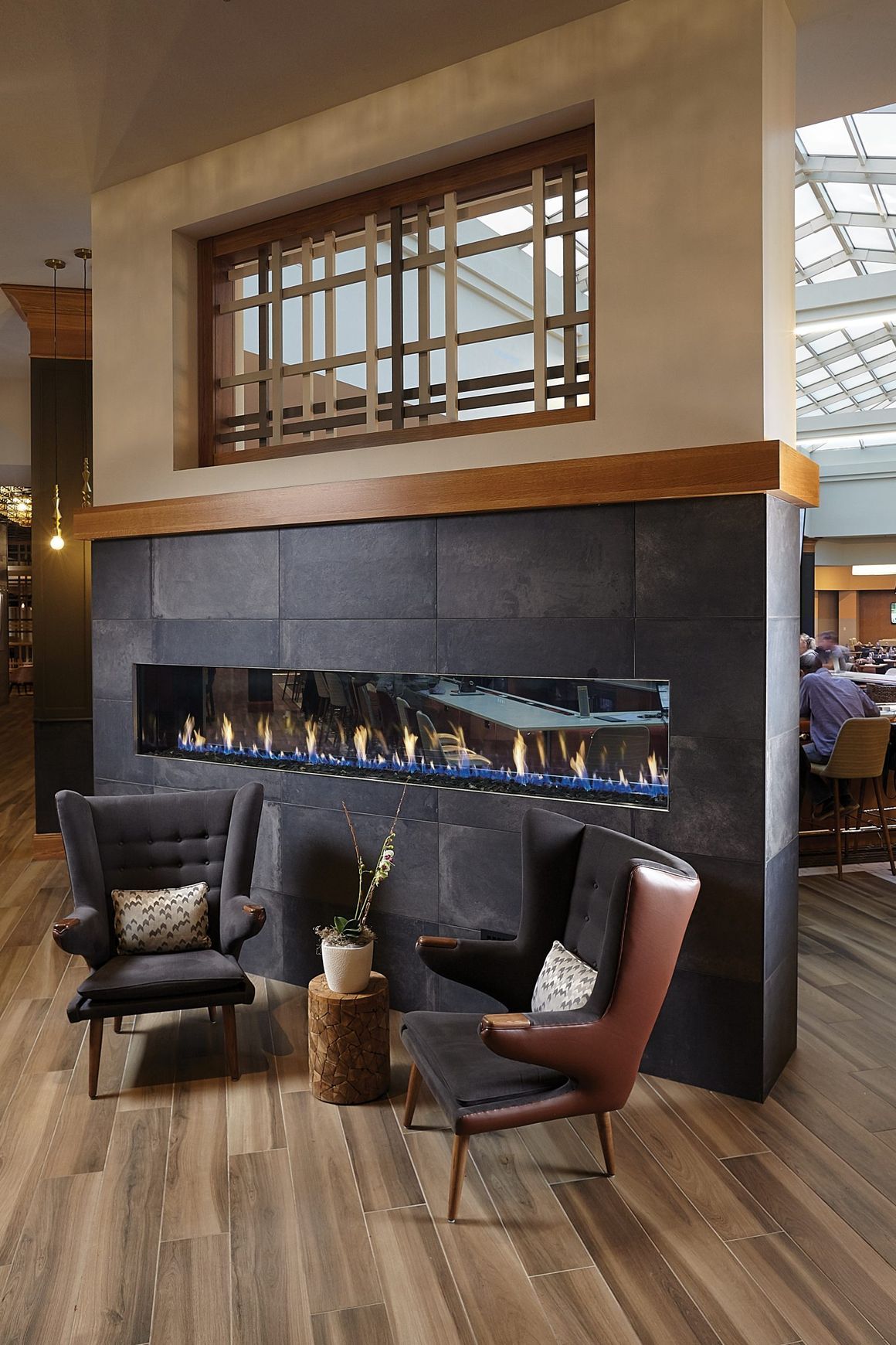 Davinci See Thru Gas Fireplace