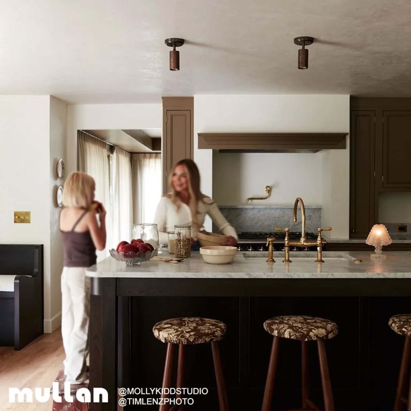 Evanston Adjustable Ceiling Light