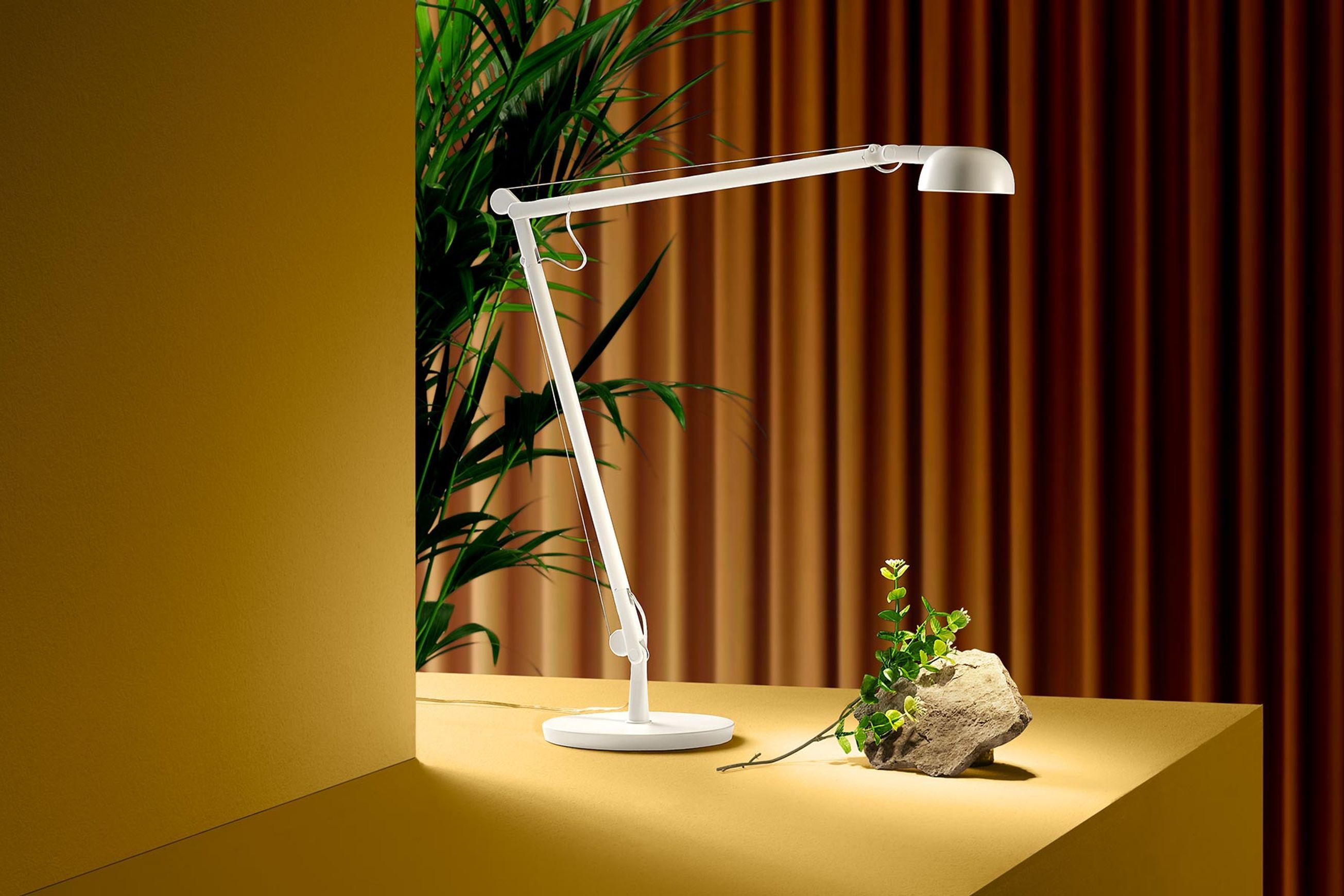 Opuntia Table Lamp