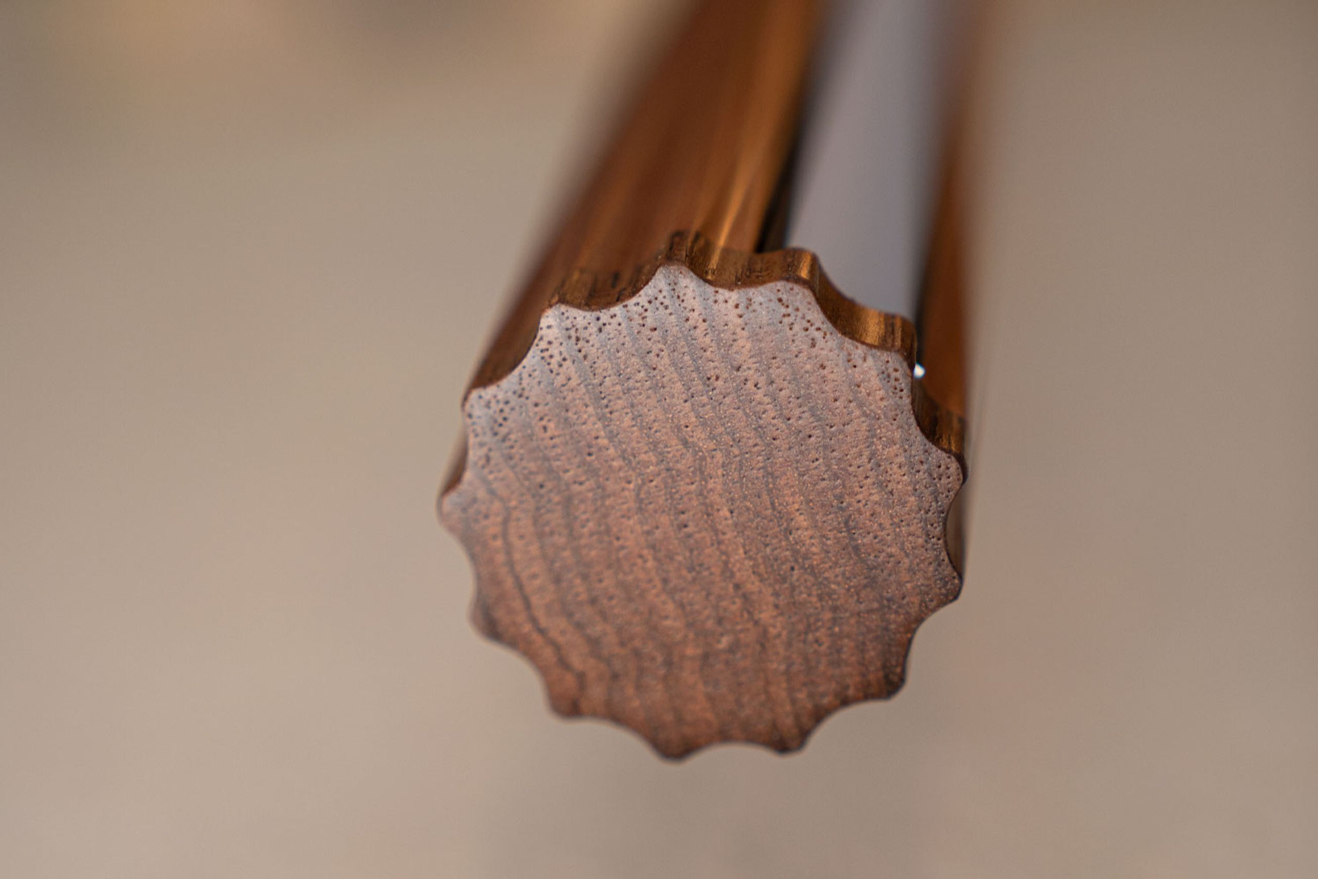 Fluted Roller Pendant | Tasmanian Blackwood