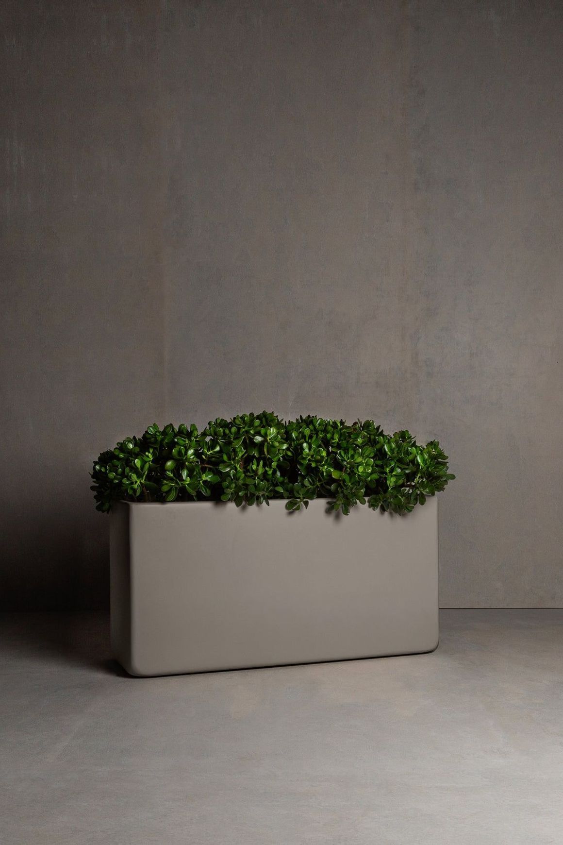 Hibernate Low Line Planters | Clay