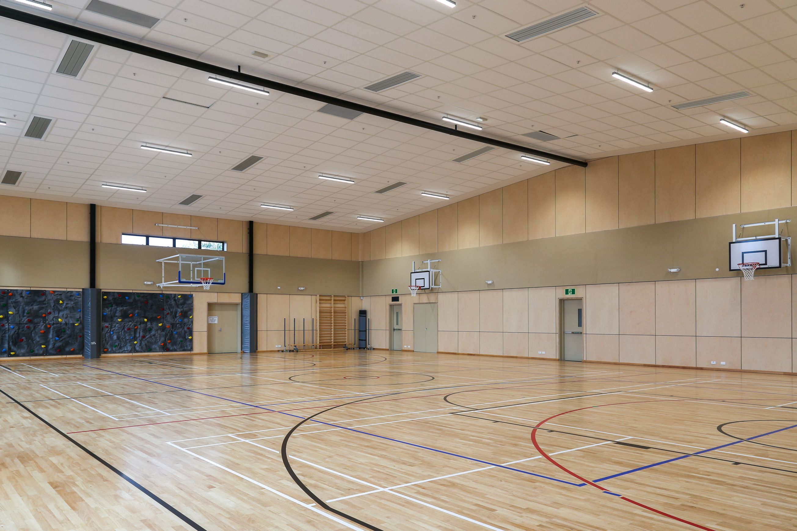 Birch Elite Panels - Plytech Panels