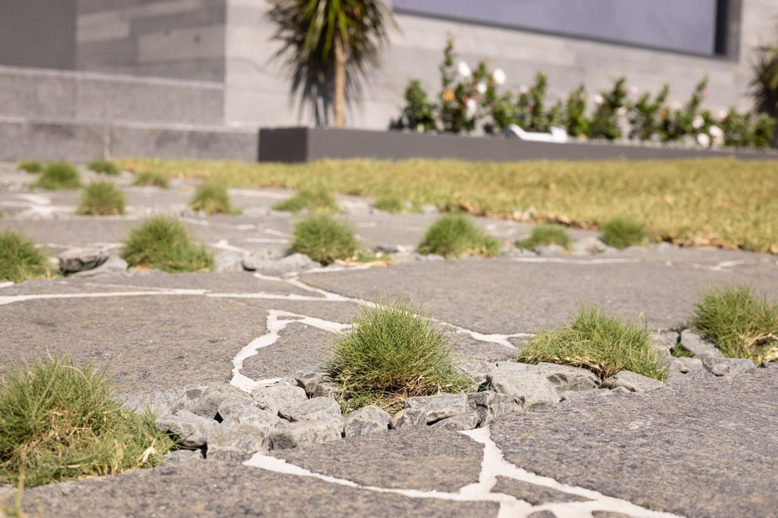 Impala Black Granite Crazy Paving