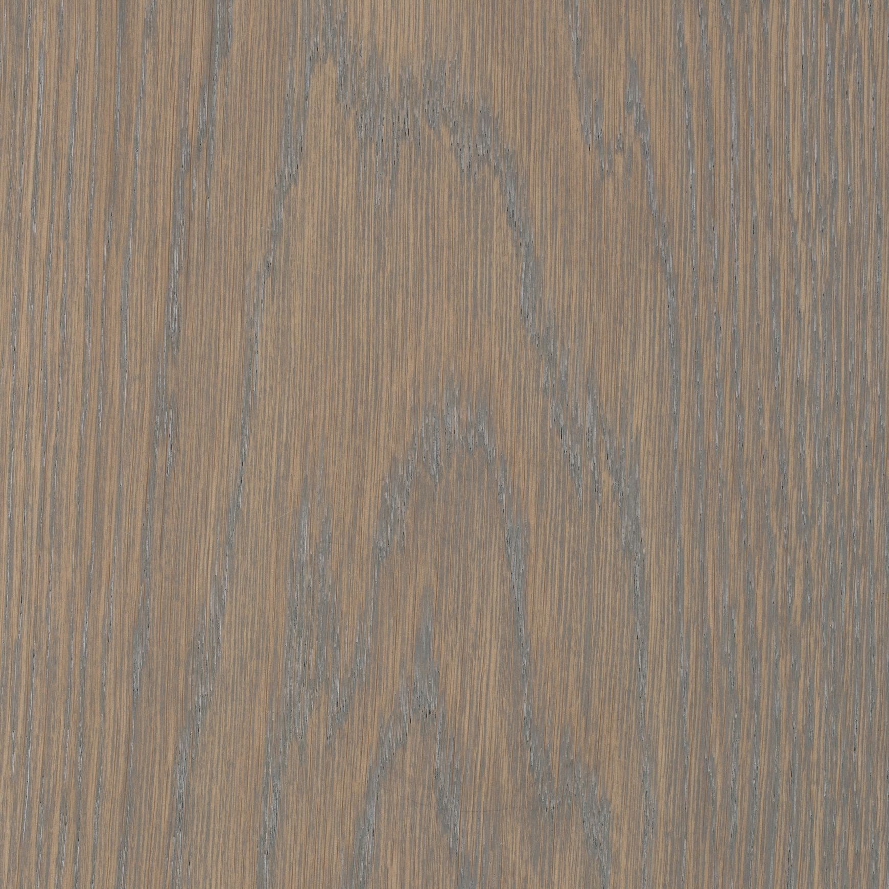 Stirling Grey Oak | Stained | Lignapal Panels
