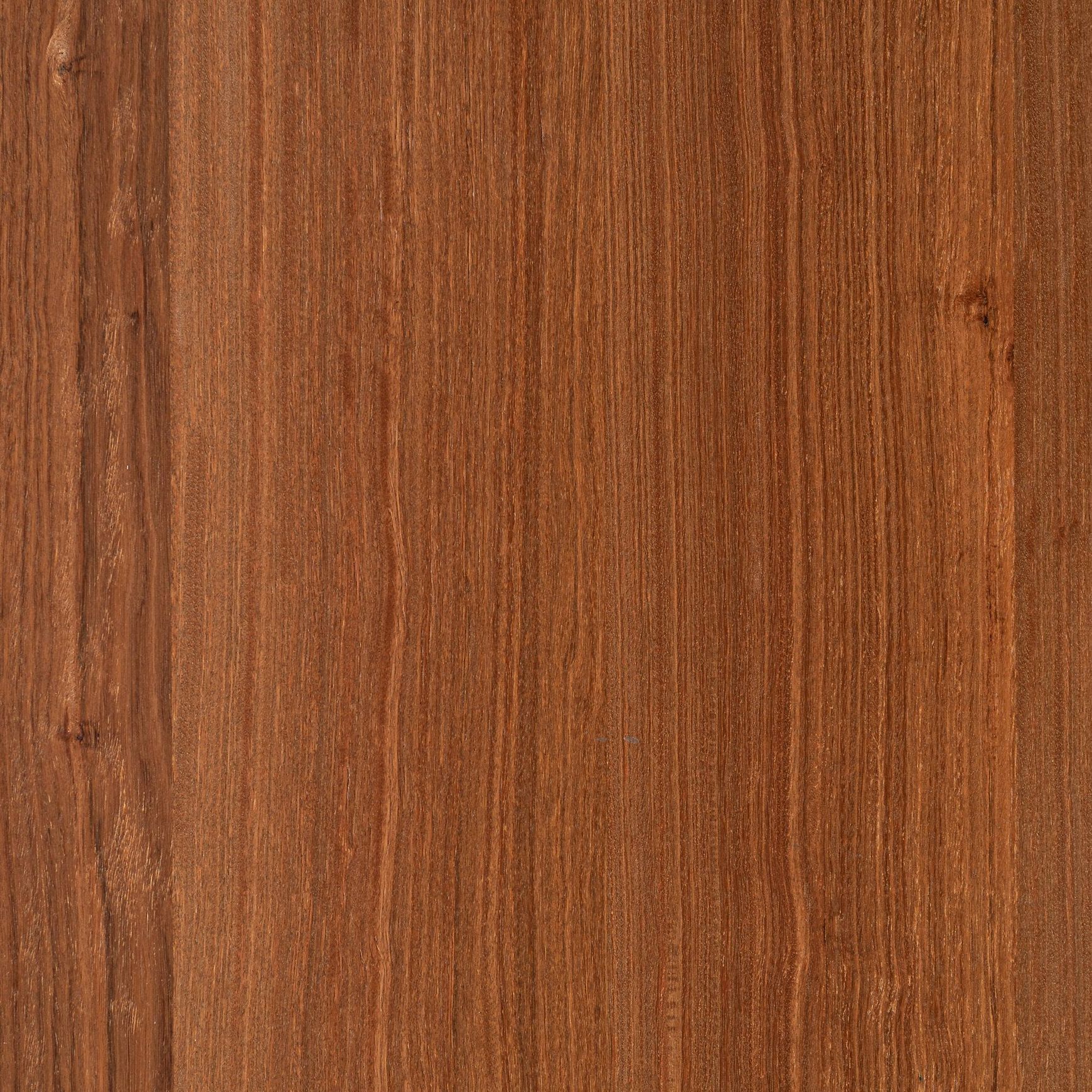 Iron Bark | Clear | Lignapal Panels