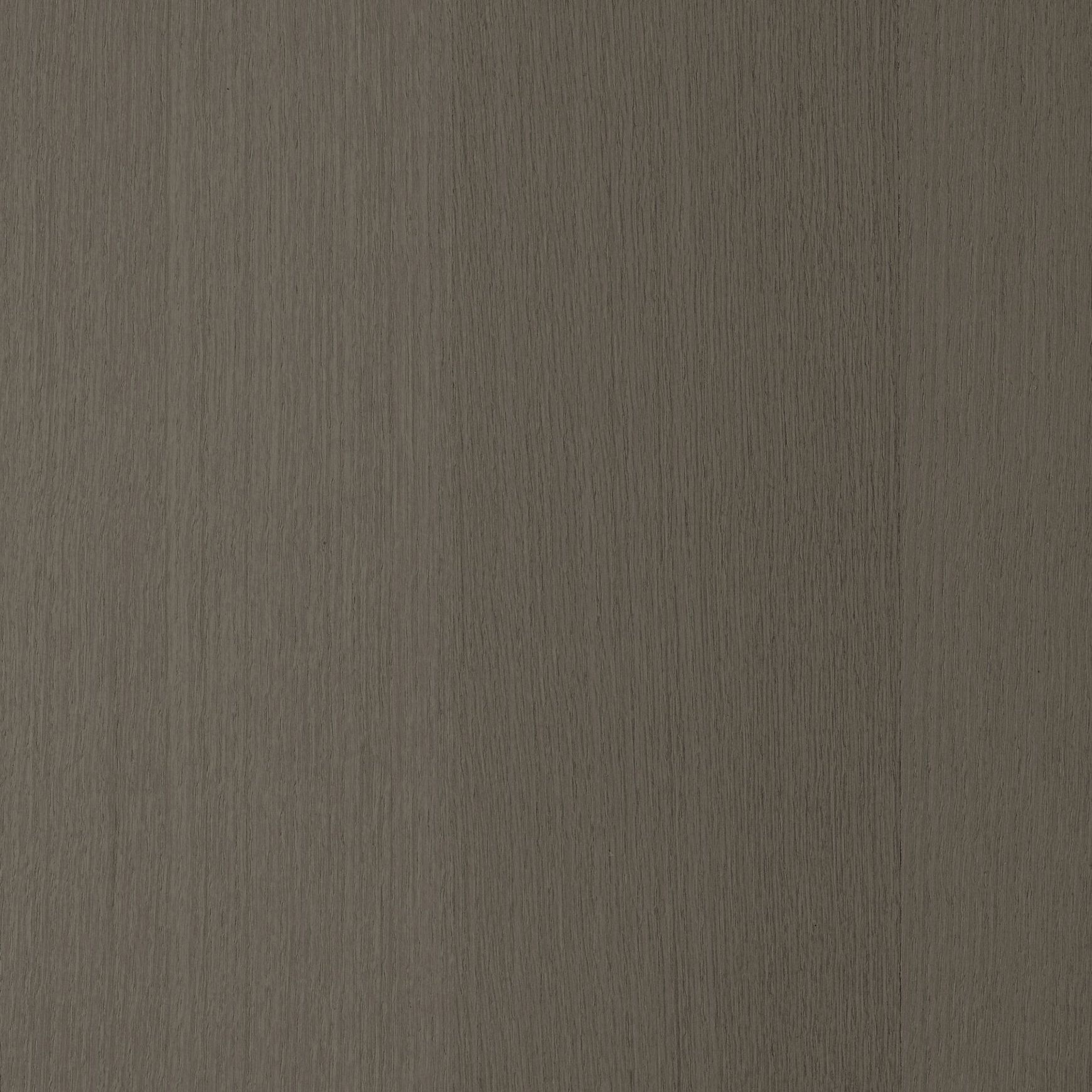 Kettle Gum | Stained | Lignapal Panels