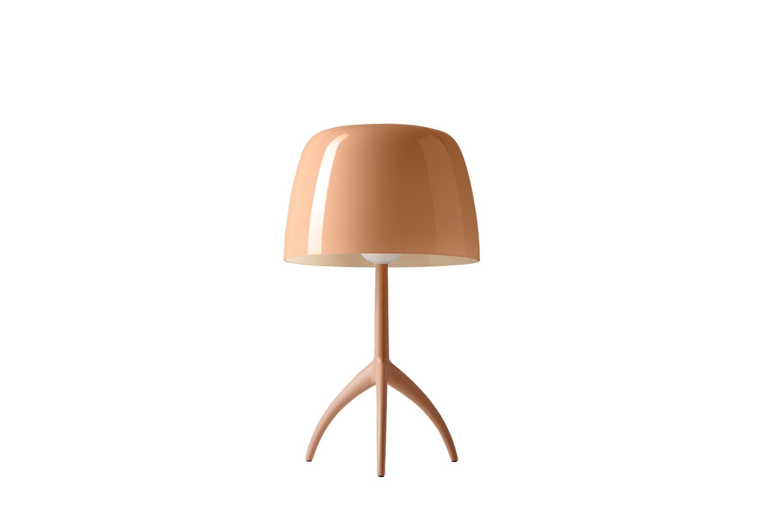 Lumiere Nuances Table Lamp