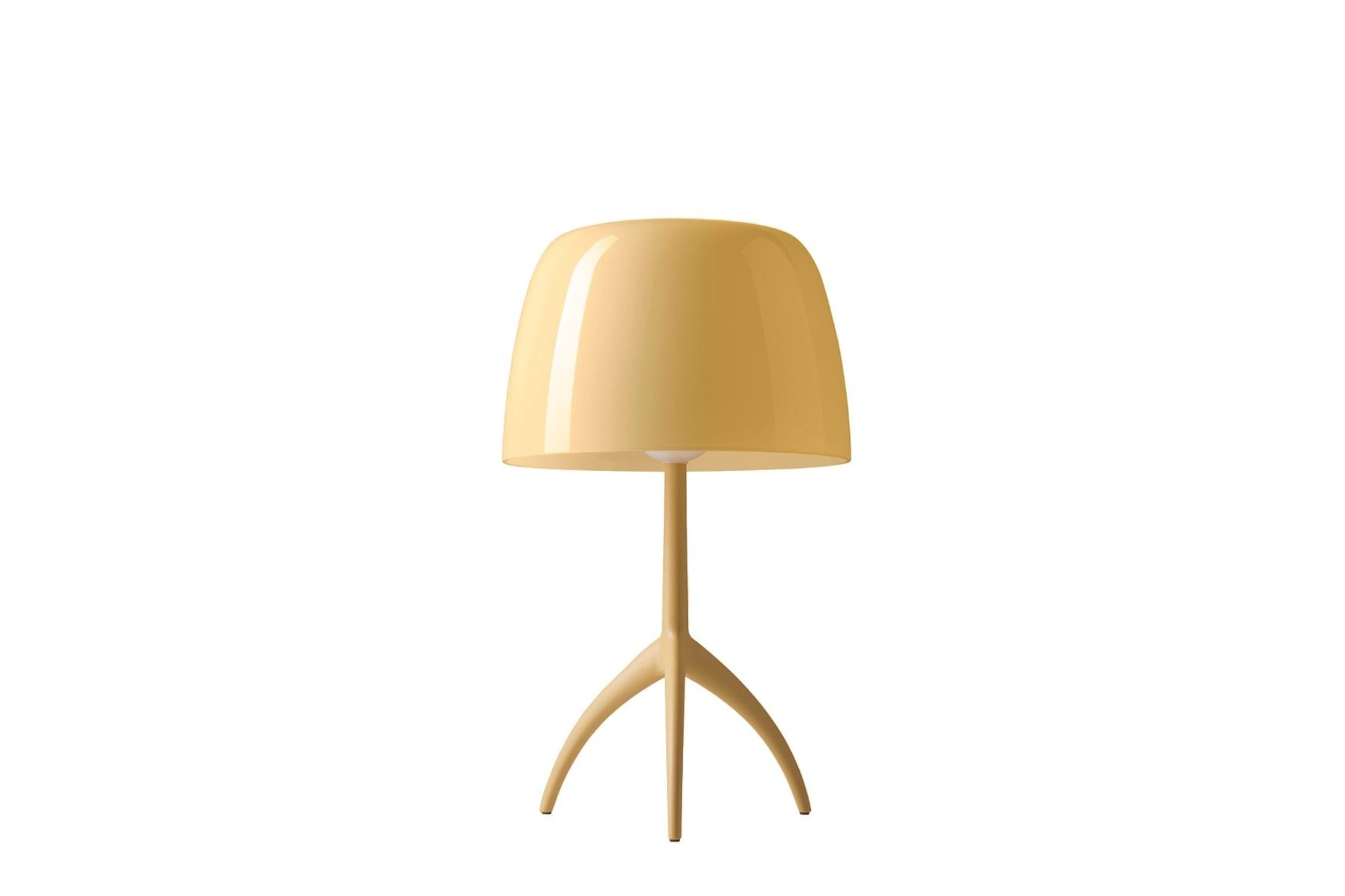 Lumiere Nuances Table Lamp