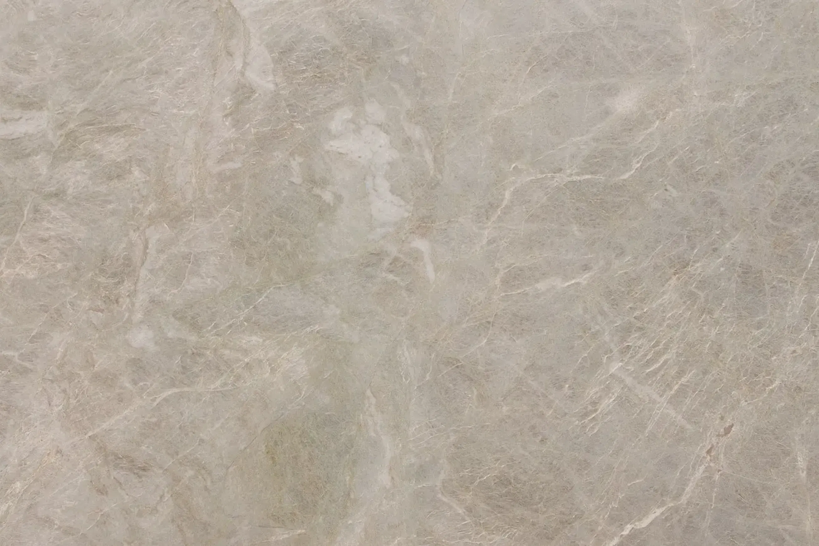 Maya Quartzite Benchtop
