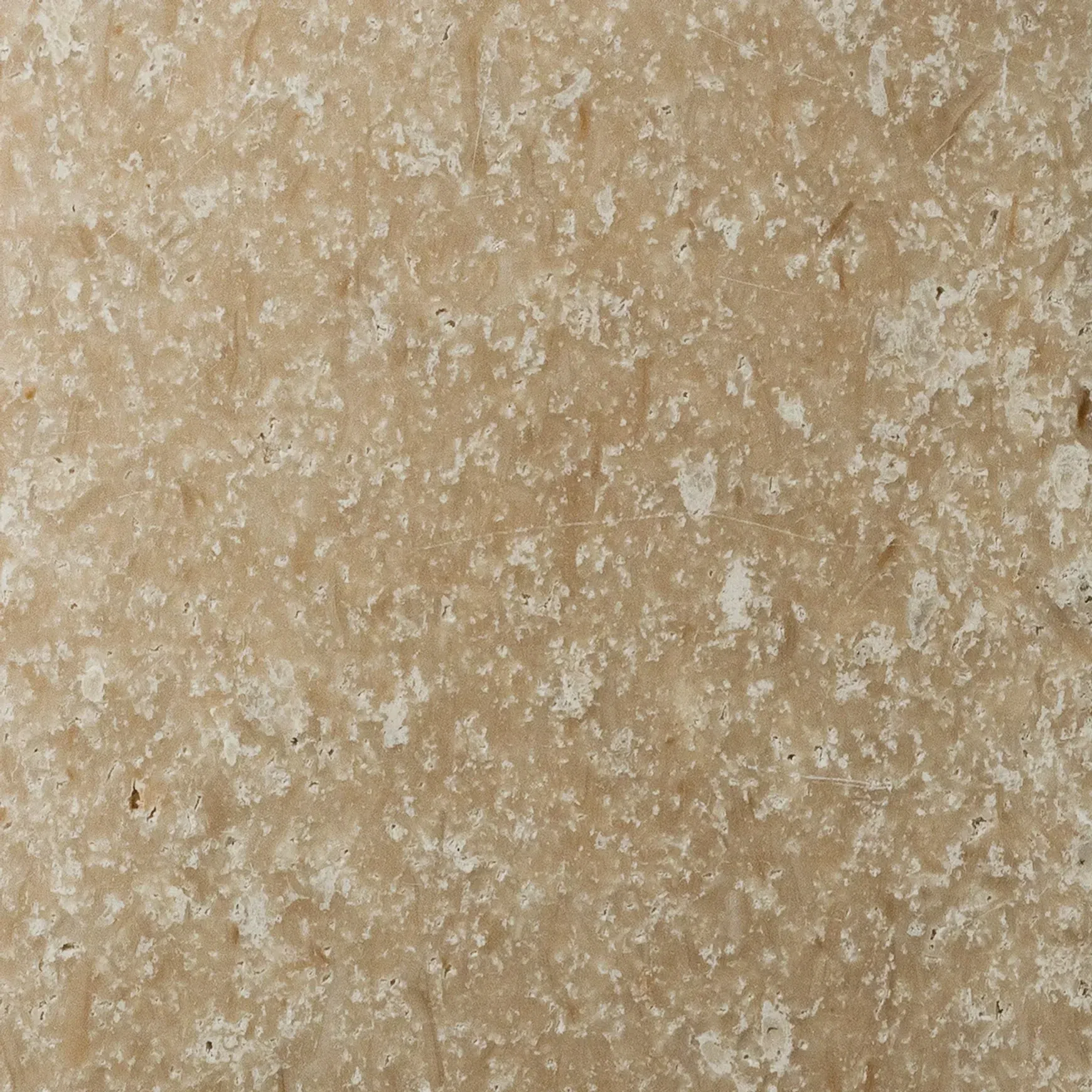 Mocca Honed Travertine Porcelia