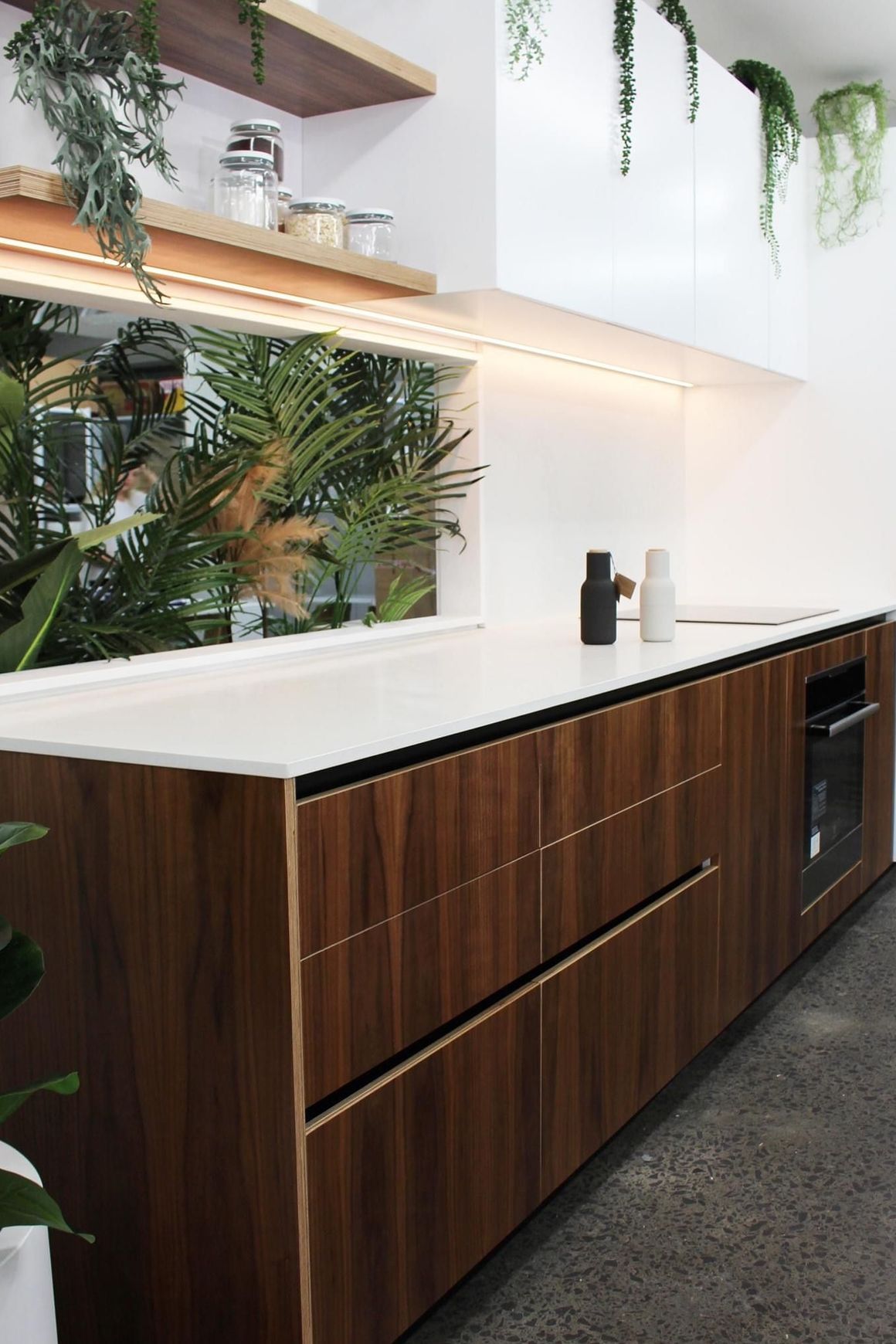 Birch Décor Walnut | Panels - Plytech Panels