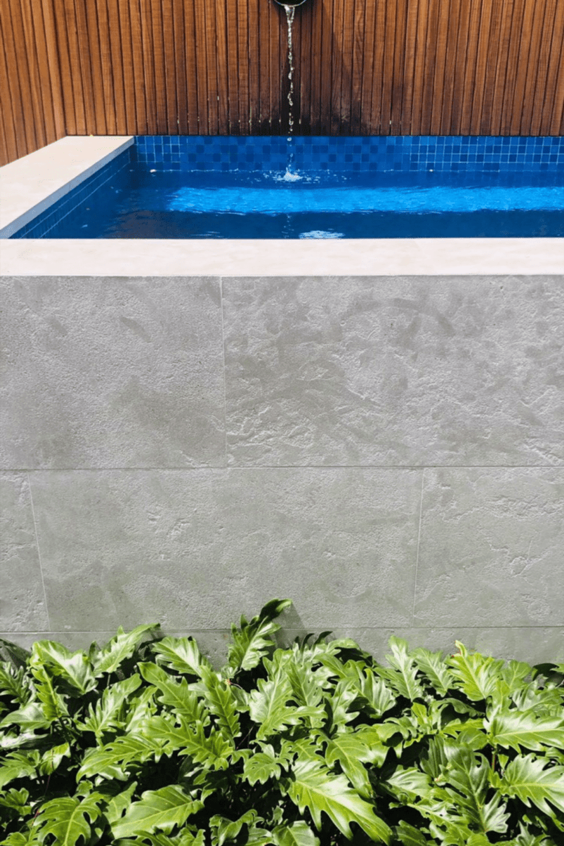 Nice Limestone Pool Coping