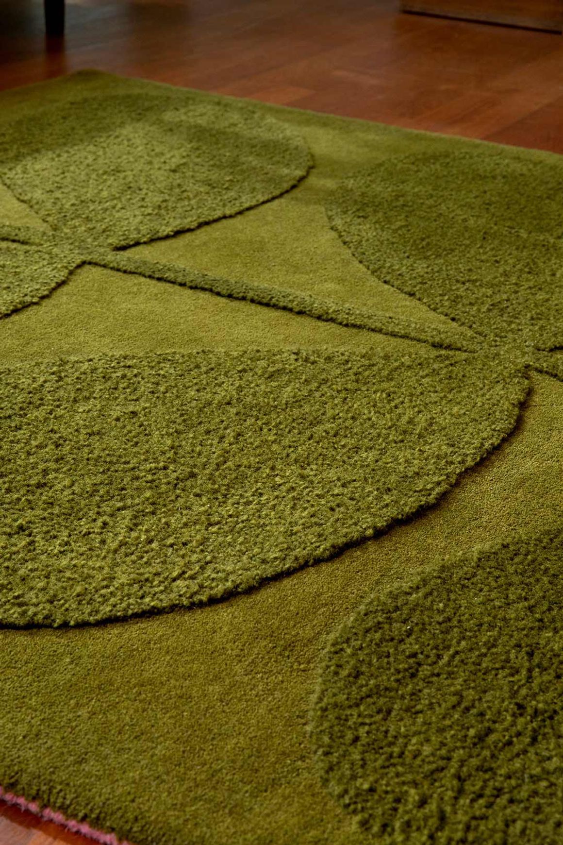 Orla Kiely Solid Stem Rug - Fern | 100% Wool Designer Floor Rug