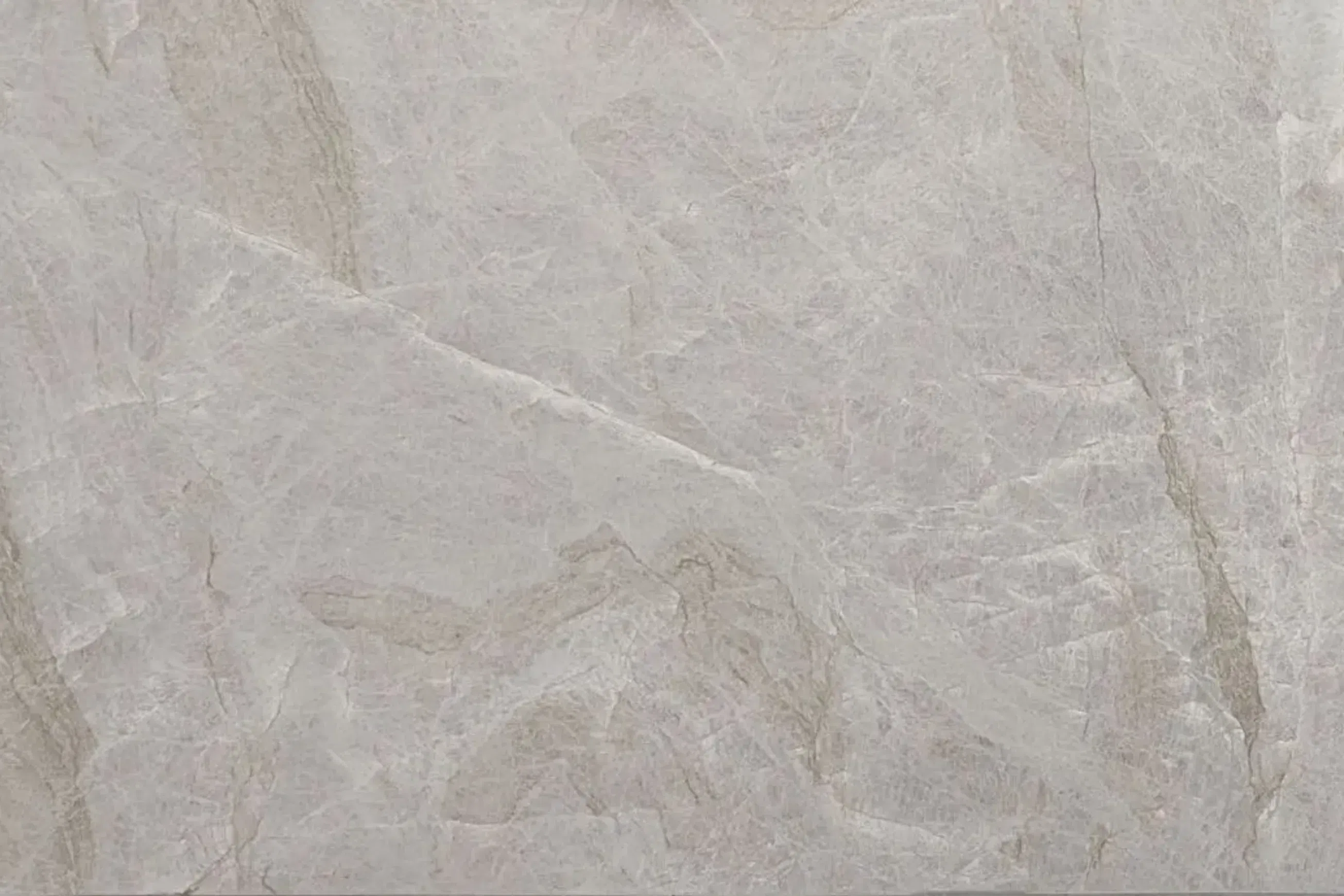 Perla Venata Quartzite Benchtop