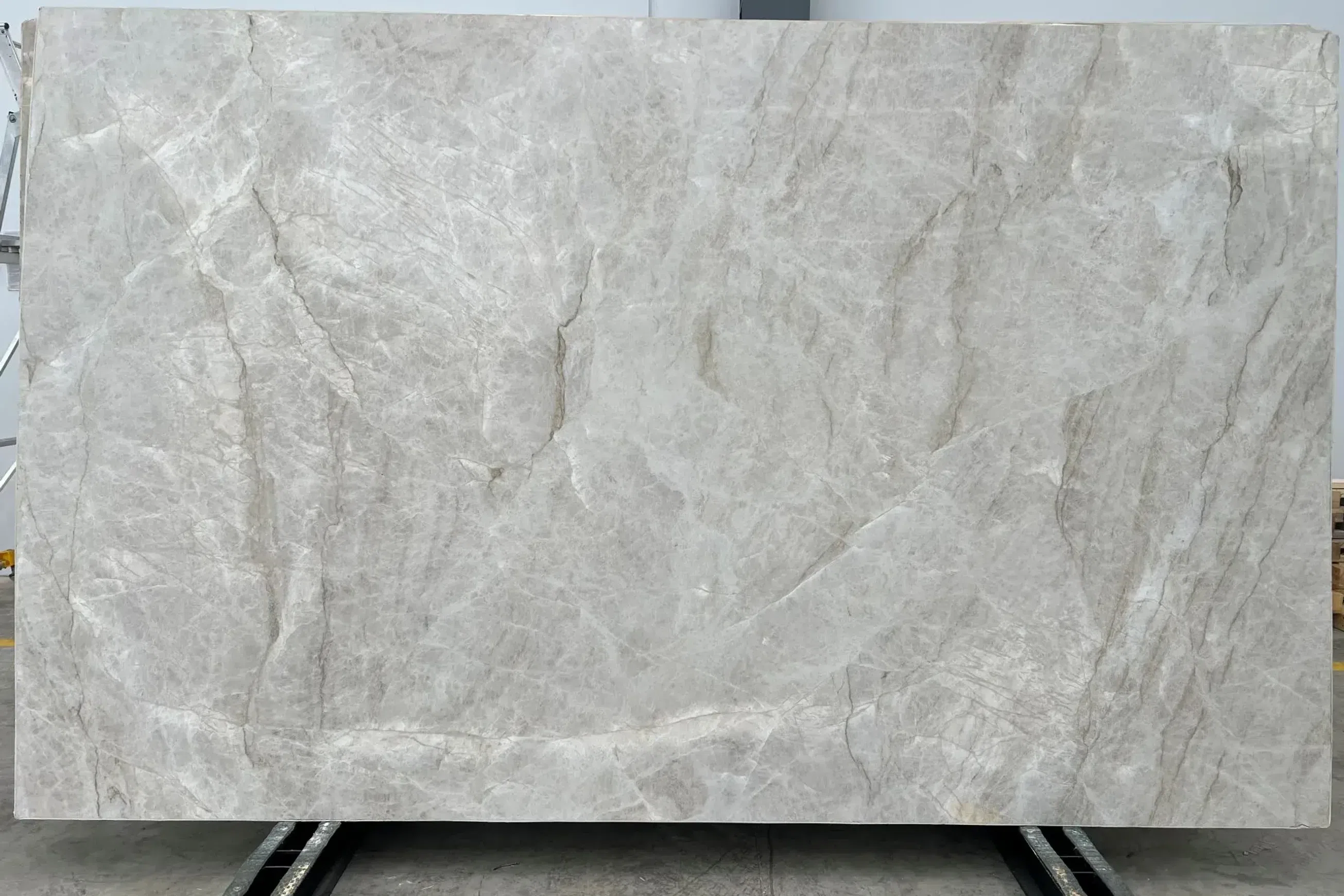 Perla Venata Quartzite Benchtop