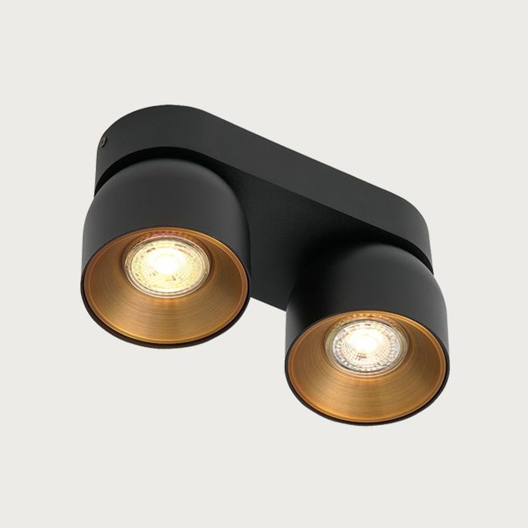 Pitcher 2-Spot Downlight