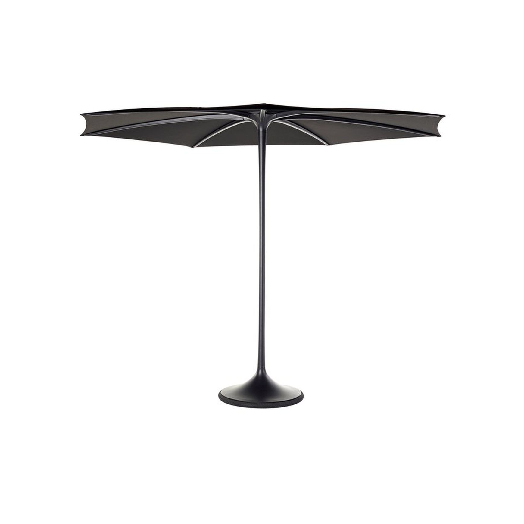 Palma Umbrella