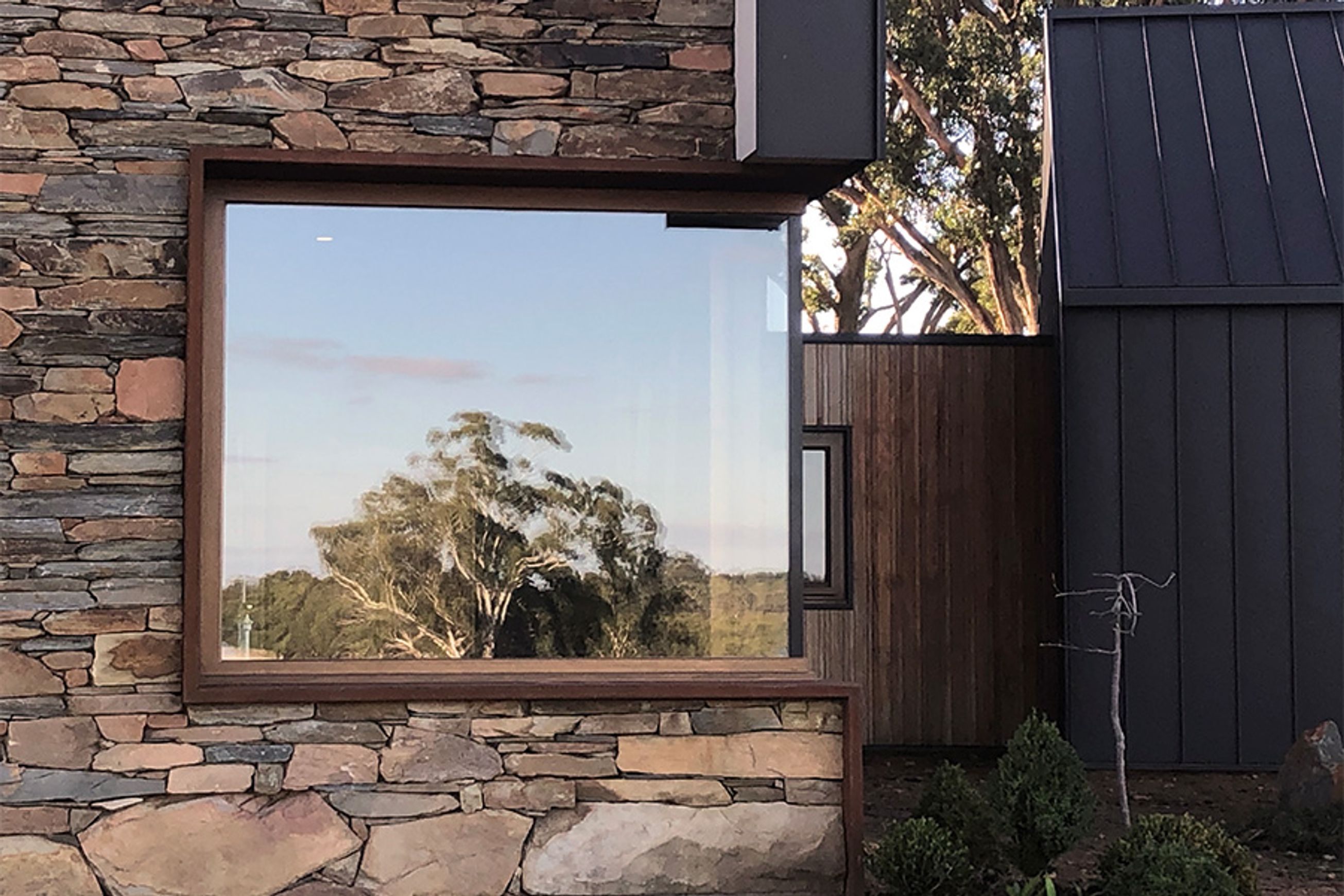 Timber | Picture/Fixed Windows