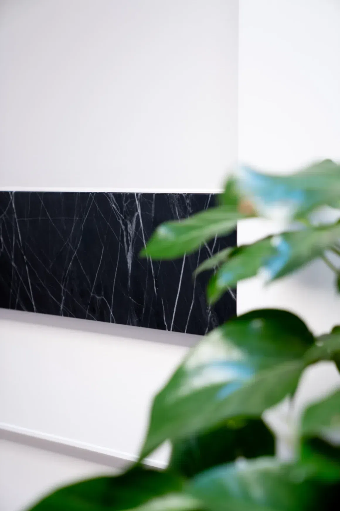 Marquina Quartzite Benchtop