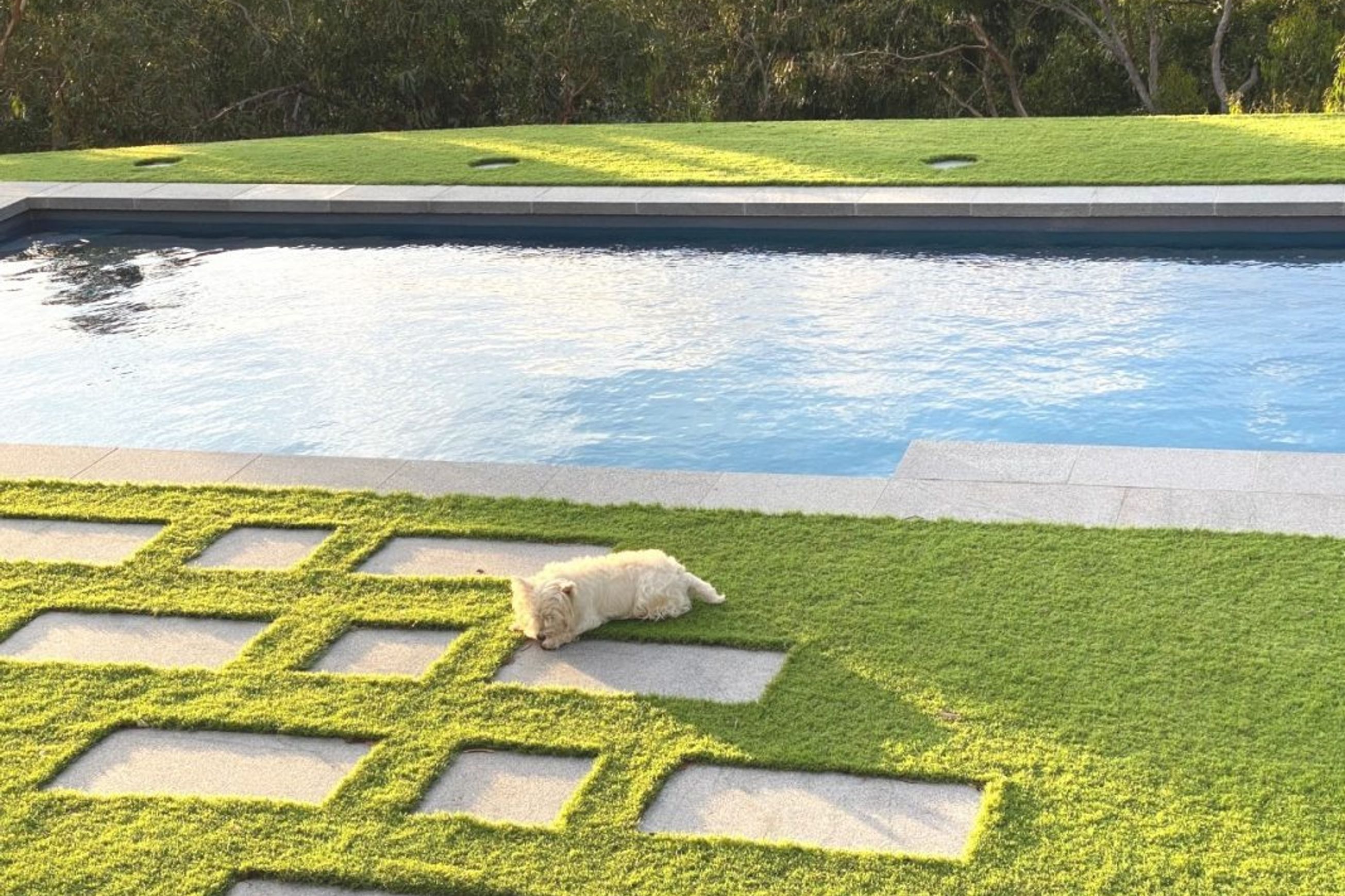 Silver Grey Granite Tiles